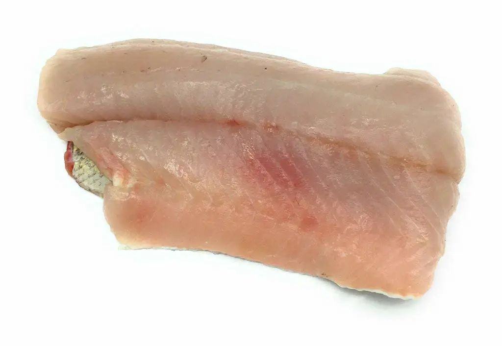 Pike Fillet Walleye
