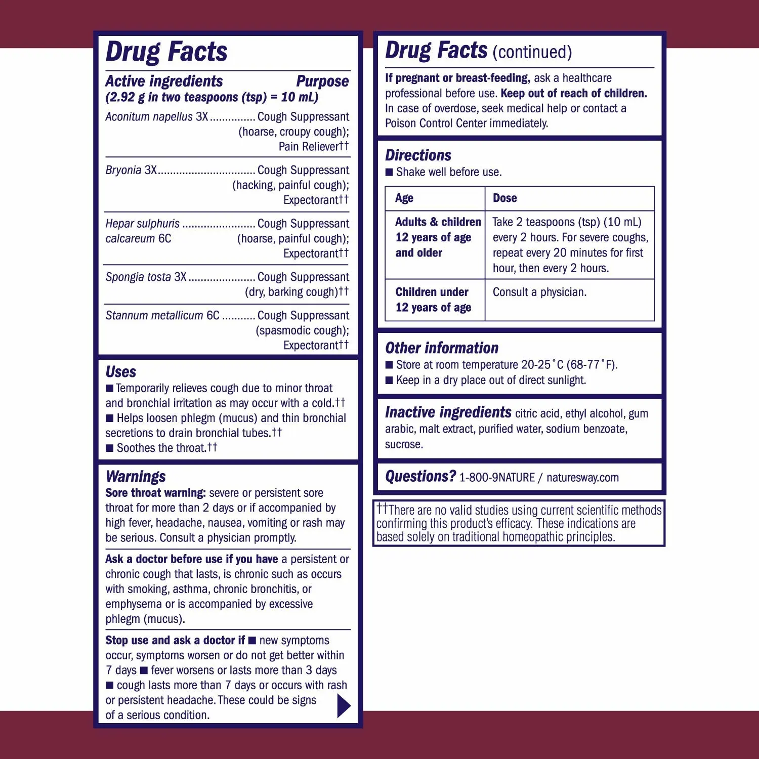 Nature's Way Boericke & Tafel Daytime Cough & Bronchial Syrup, Cough Suppressant†† & Expectorant††, Non-Drowsy, 4 Fl. Oz (Pack of 2)