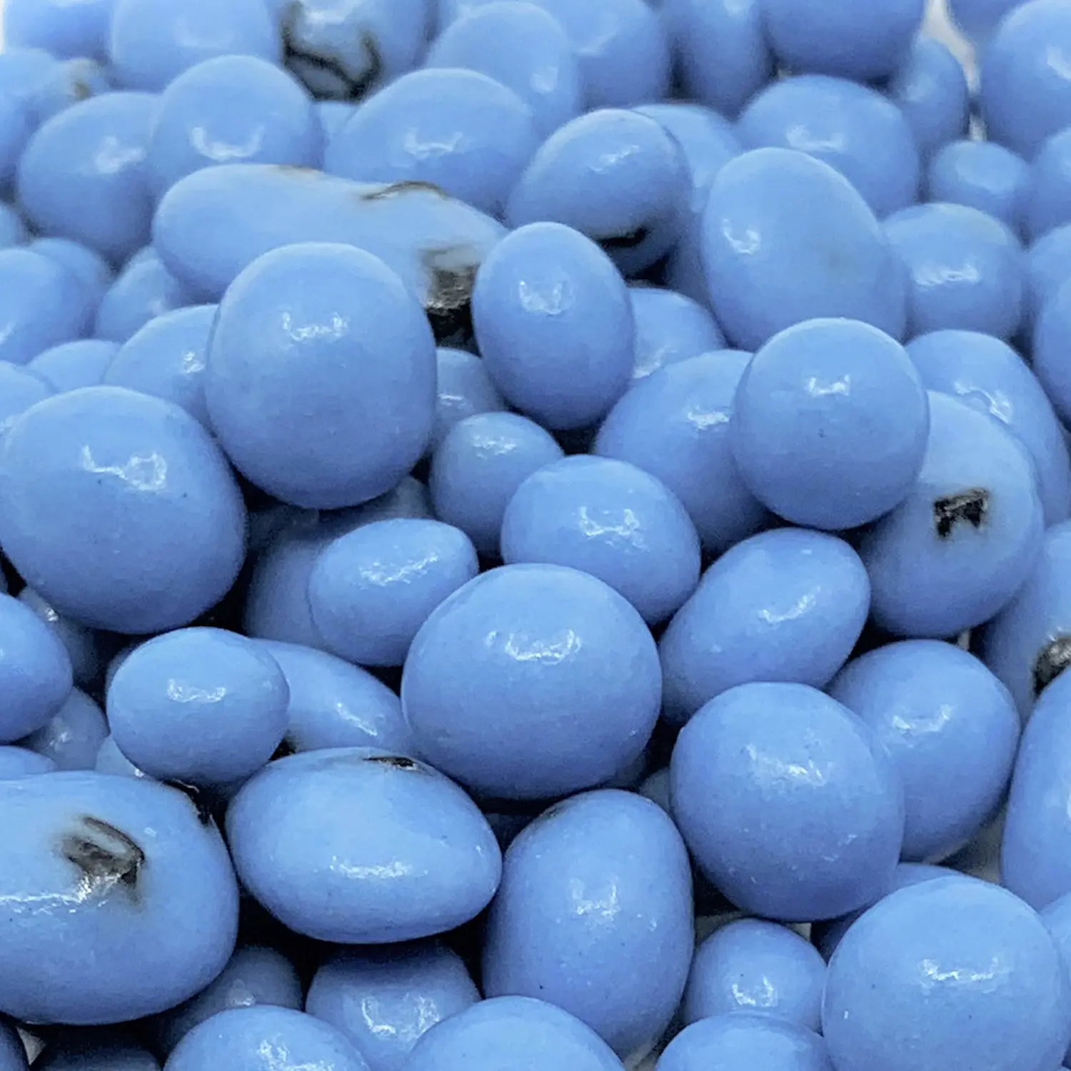 Greek Yogurt Covered Blueberries by It's Delish, 8 Oz Bulk Bag – Scrumptious & Nutritious Yogurt Coated Dried Blueberries – Sweet Snacking and Bulk Party Treats – USA Made, Kosher OU Dairy