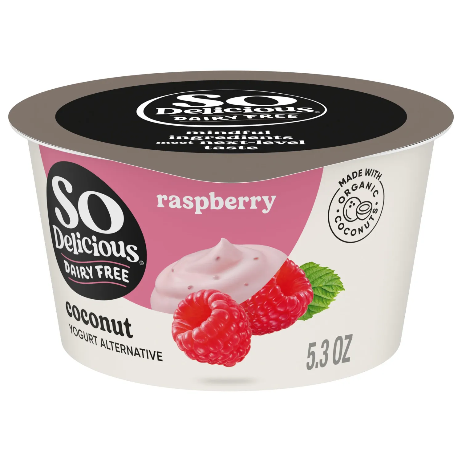 So Delicious Dairy Free Coconut Milk Yogurt Alternative, Raspberry, Vegan, Non-GMO Project Verified, 5.3 oz.