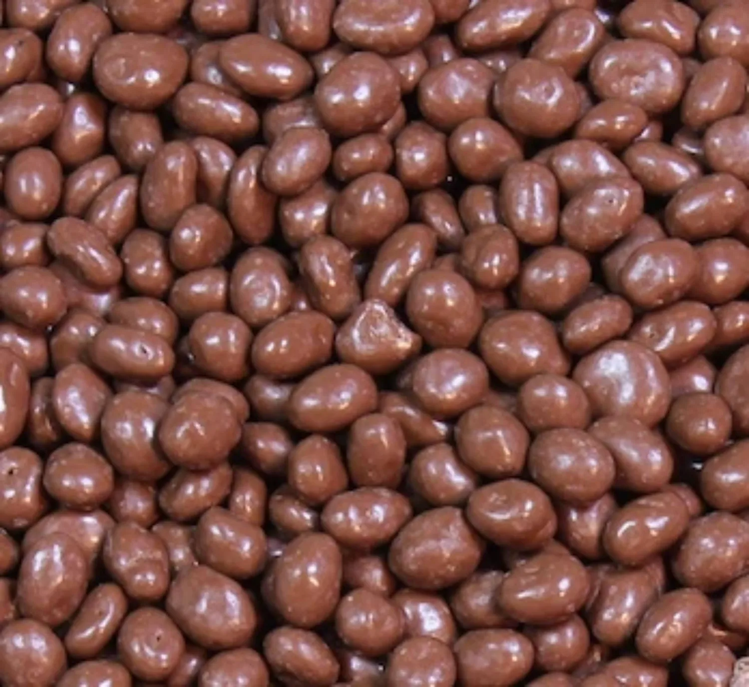 Milk Chocolate Covered Raisins Bulk-Juicy, Plump Milk Chocolate Raisins by Queen City Candy Cave (8 oz)
