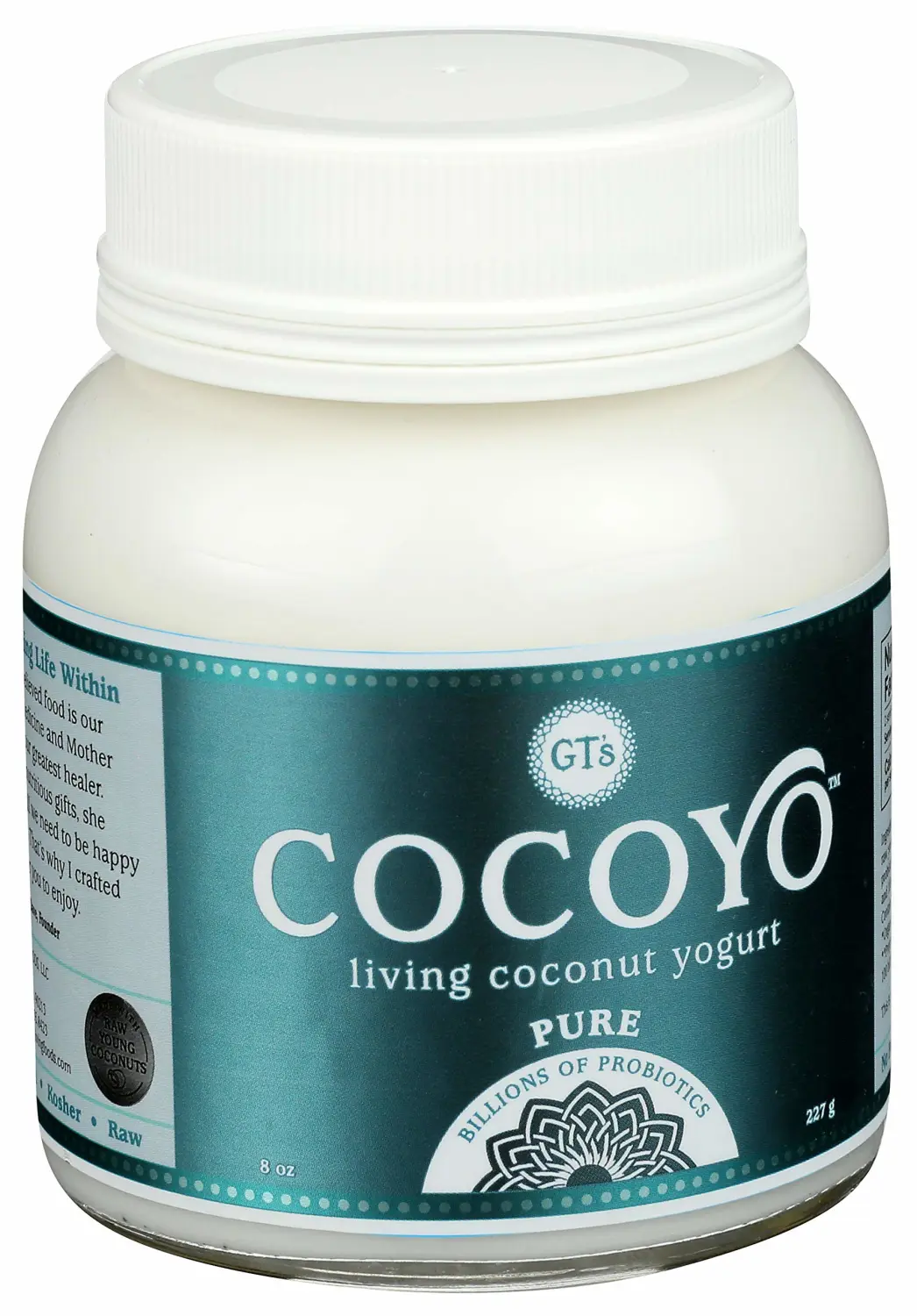GTS Yogurt Coconut, 8 Fluid oz