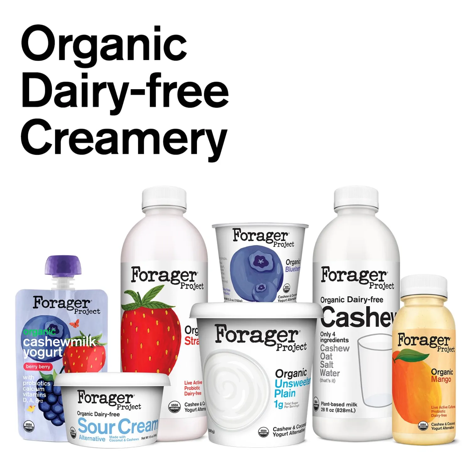 Forager Project Organic Kids Cashewmilk Yogurt, Mango, 3.2-Ounce