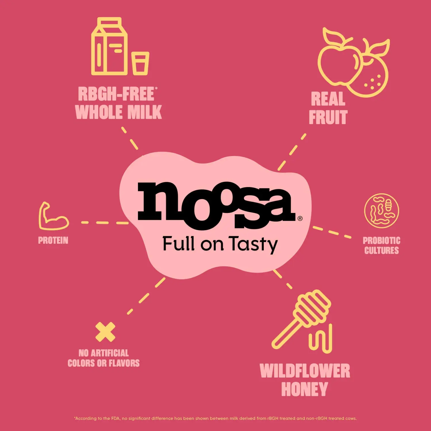 noosa, Yoghurt Raspberry, 8oz, Probiotic, Whole Milk Yogurt, Real Raspberries, No Artificial Ingredients, Gluten Free