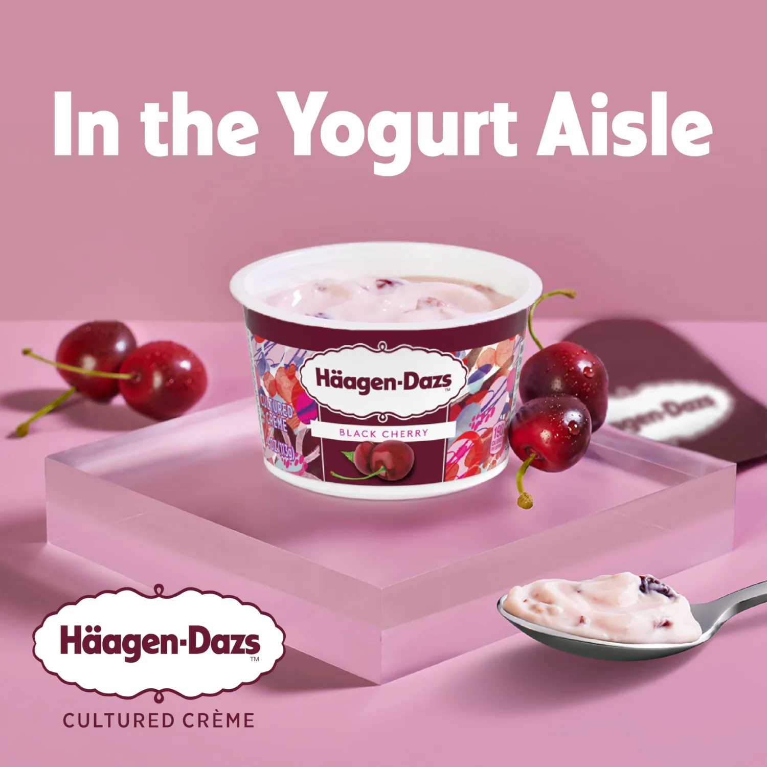 Haagen Dazs Cultured Cream Yogurt Style Snack, Vanilla Bean, 4 oz Cup