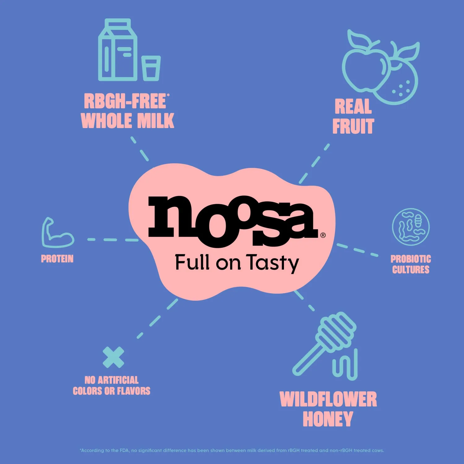 Noosa, Blueberry Yoghurt, 8 Ounce