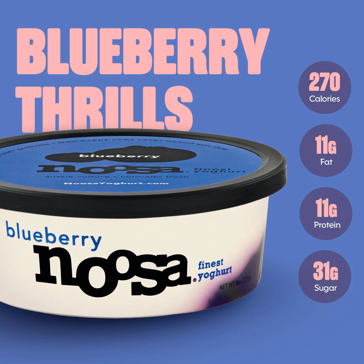 Noosa, Blueberry Yoghurt, 8 Ounce