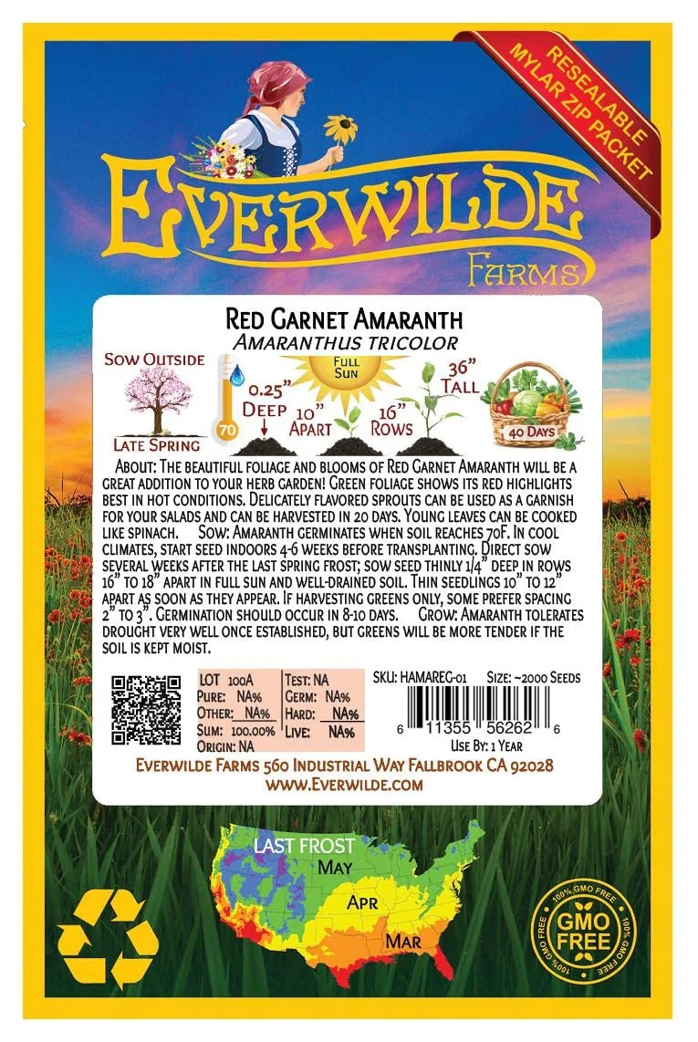Everwilde Farms - 2000 Red Garnet Amaranth Herb Seeds - Gold Vault Jumbo Seed Packet