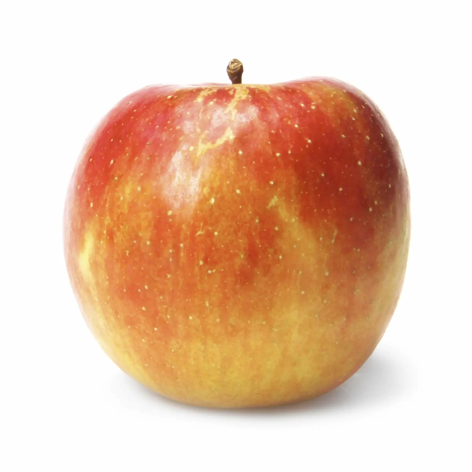 Organic Fuji Apples Bag, 48 OZ