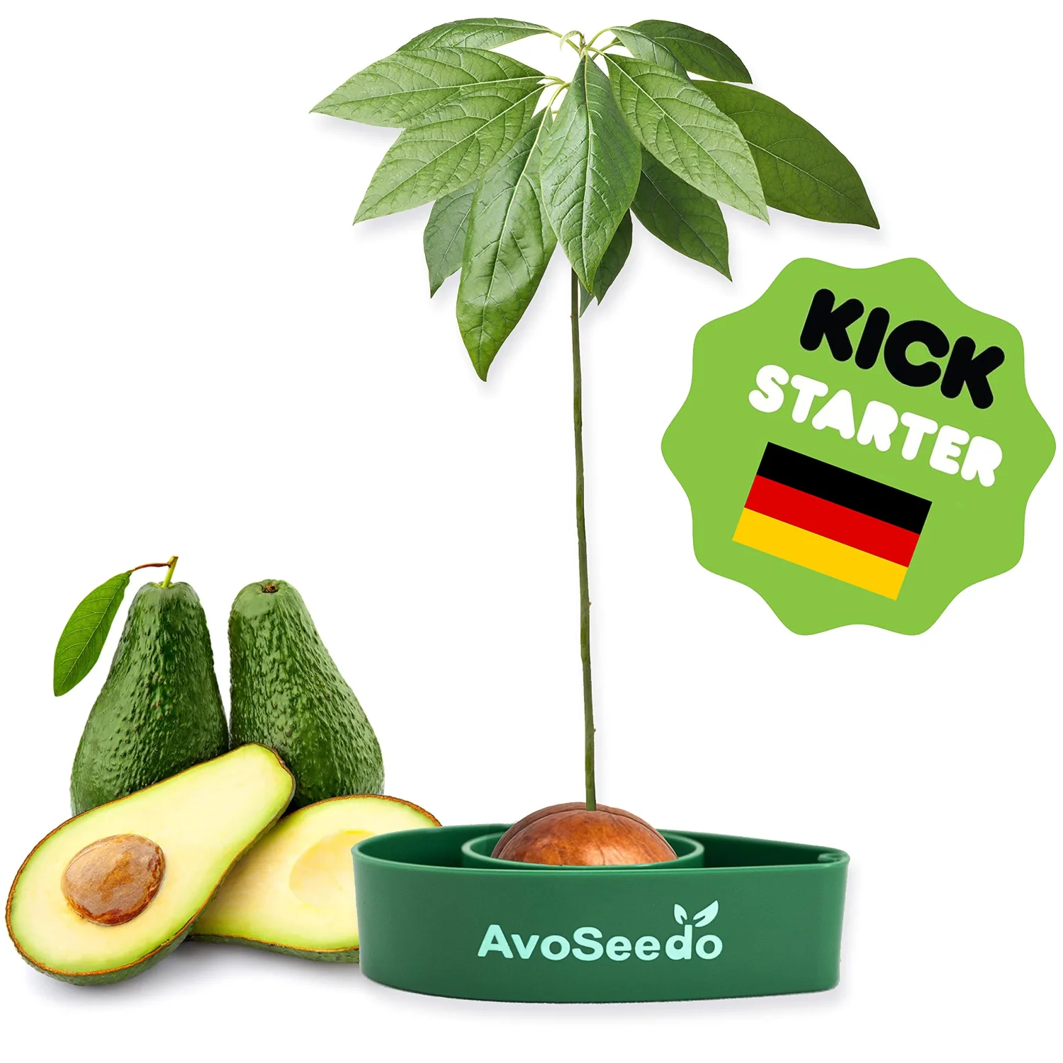 Avocado Growing Kit - Indoor Gardening Gift for Growing Avocado Trees from Pits