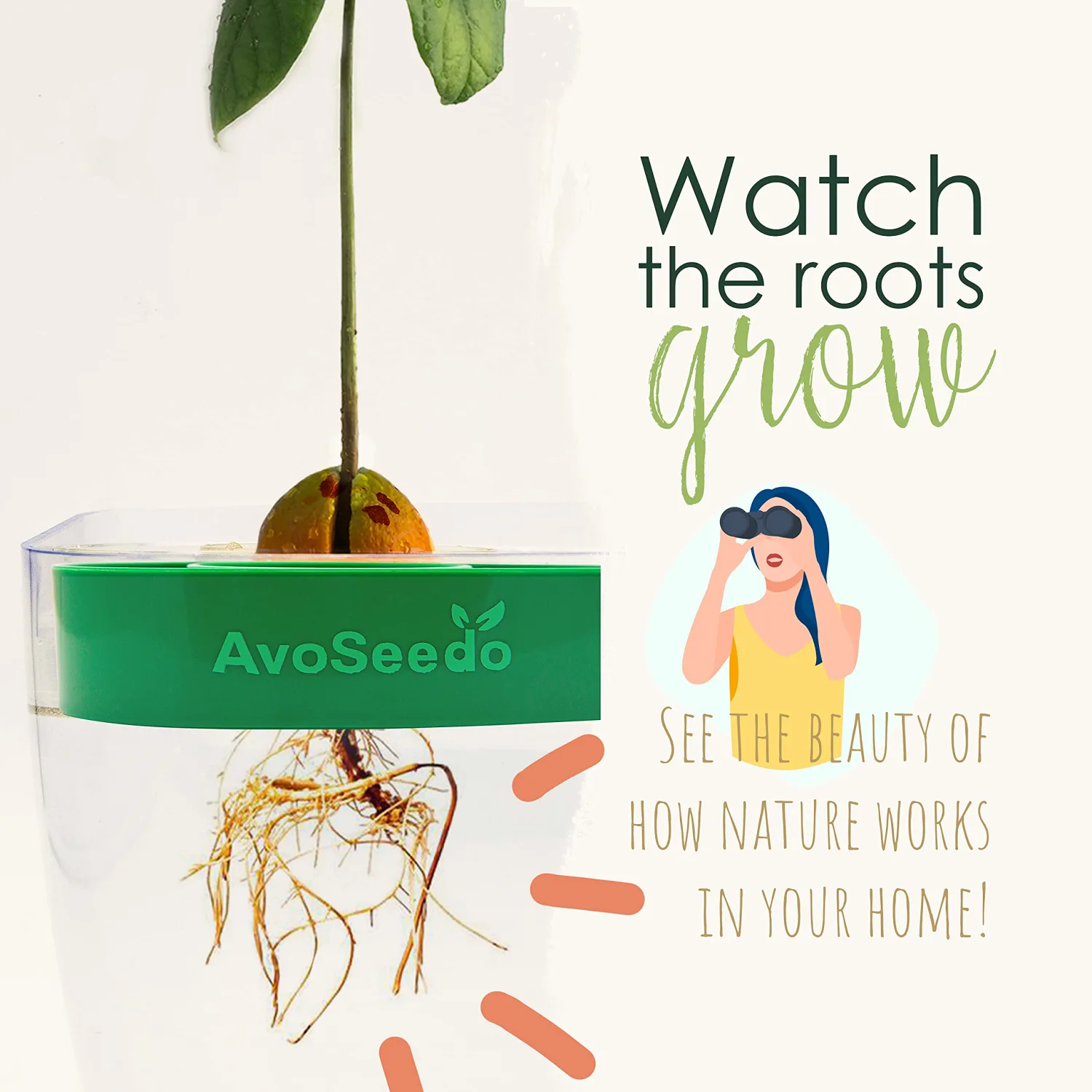 Avocado Growing Kit - Indoor Gardening Gift for Growing Avocado Trees from Pits