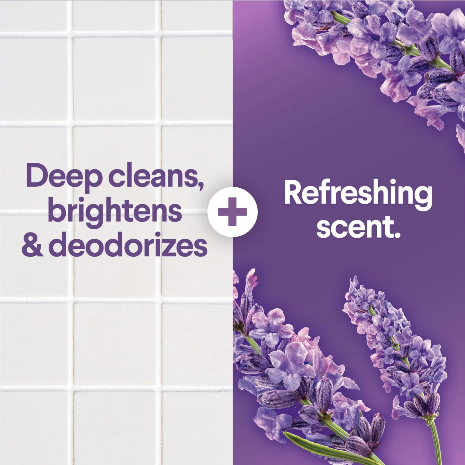 Clorox Scentiva Scented Bleach, Lavender and Jasmine, 81 Fluid Ounces