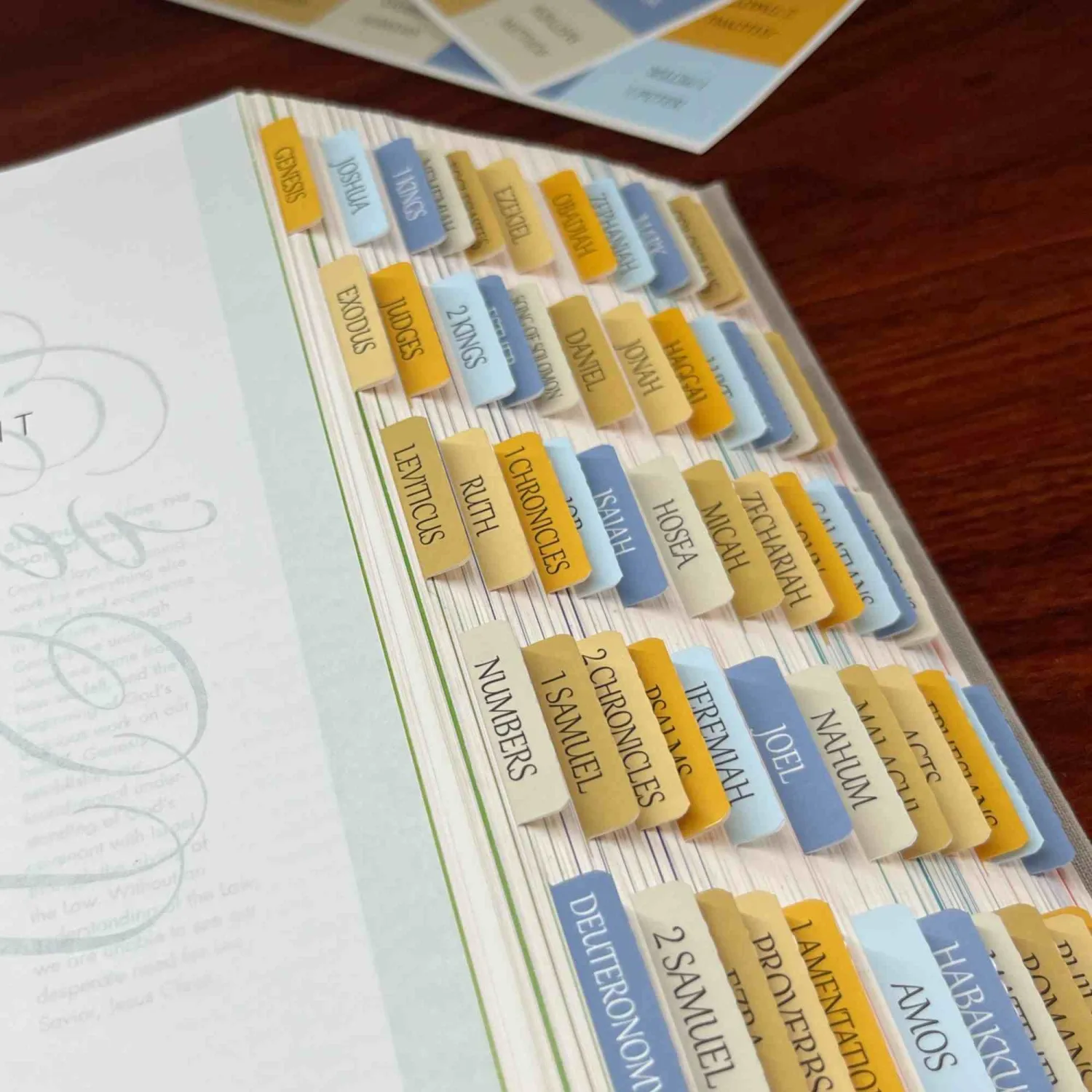 Thinkor Reposition Laminated Bible Tabs, Large Print Stickers, Easy to Read & Apply Bible Tabs for Women & Man (Summer Sand)