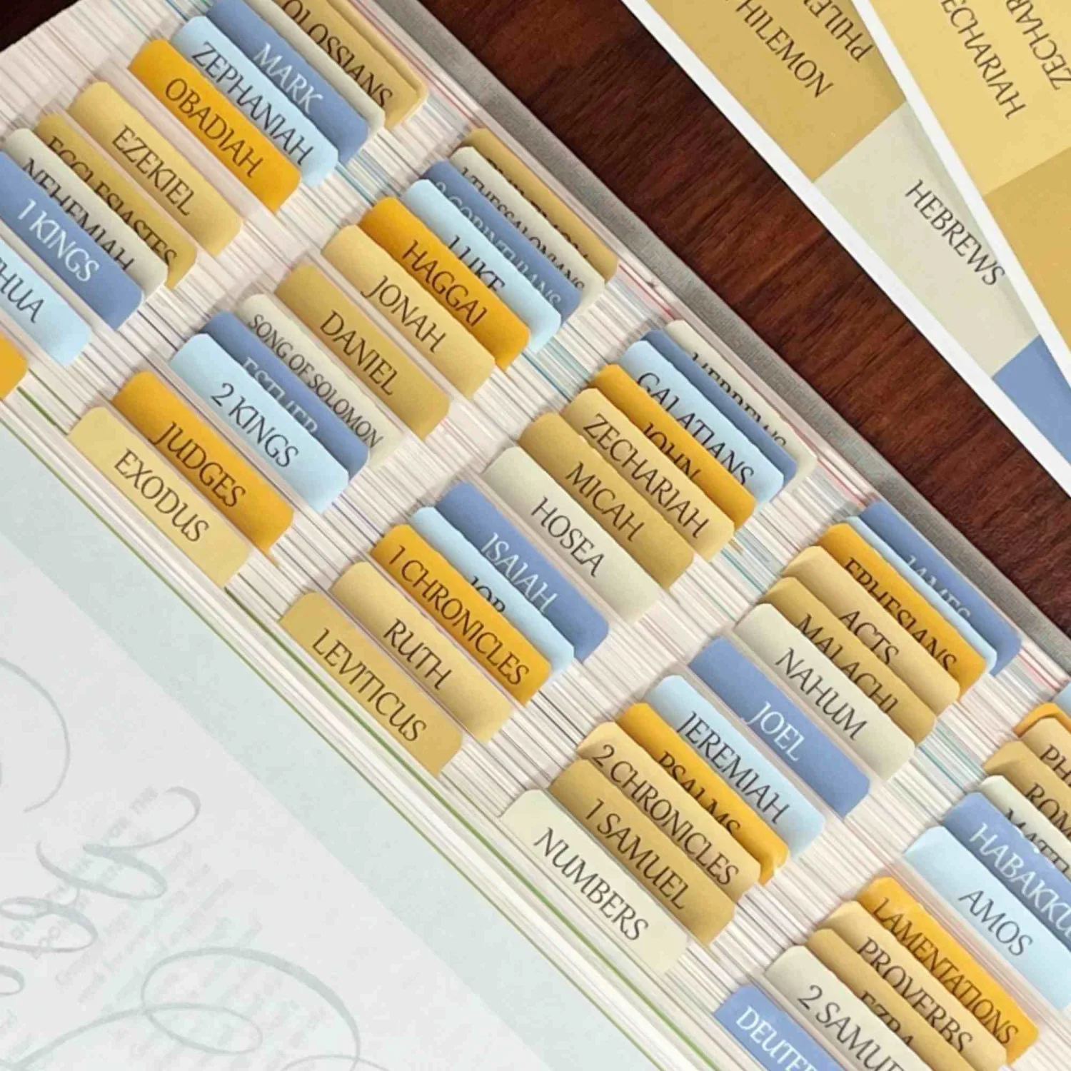 Thinkor Reposition Laminated Bible Tabs, Large Print Stickers, Easy to Read & Apply Bible Tabs for Women & Man (Summer Sand)