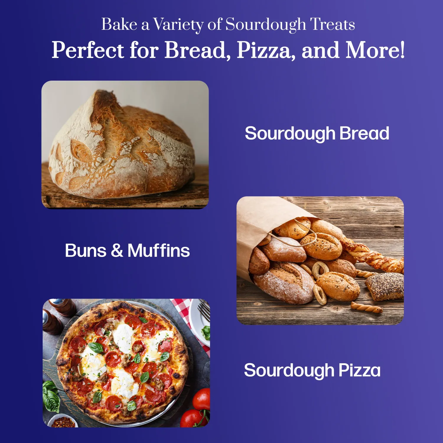 Mature Sourdough Starter Culture – Active and Mature Dehydrated Sourdough Starter for Delicious Homemade Sourdough Bread – All-Natural and Organic - Beginner Friendly, Fast reactivation and Expert Support