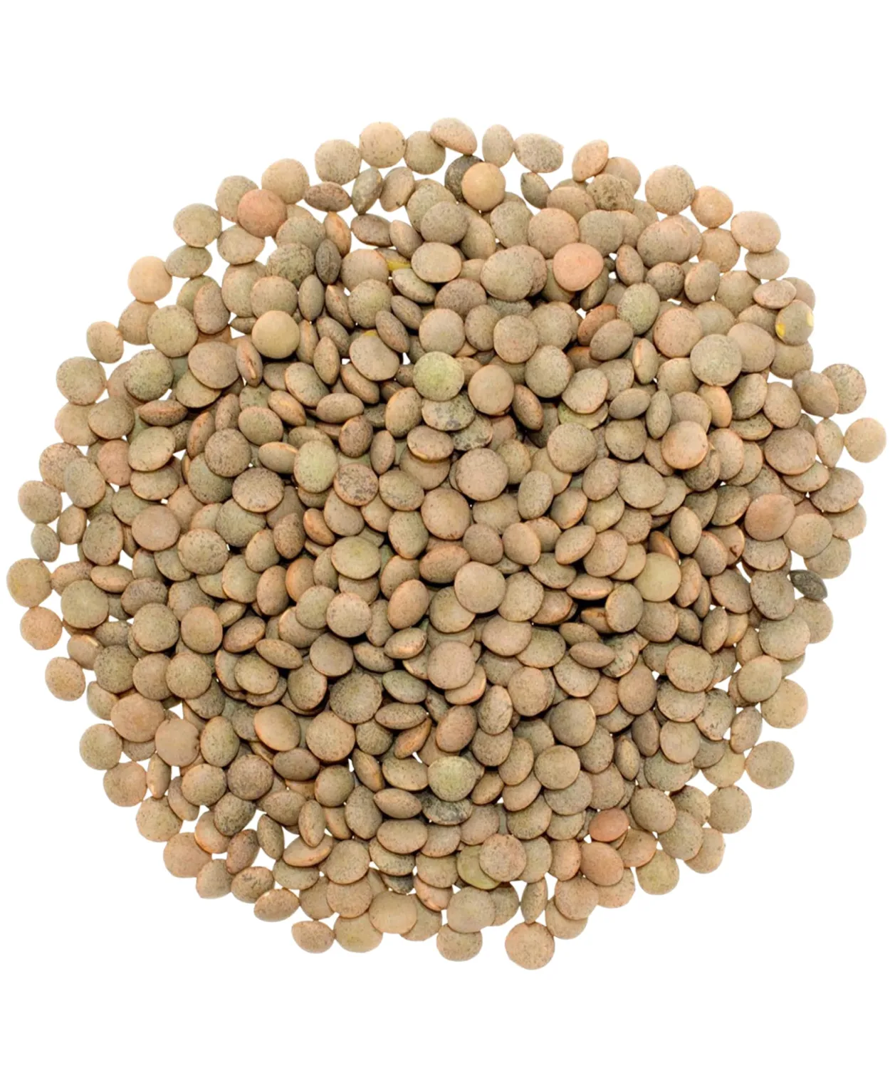 Non-GMO Project Verified Brown Lentils | Certified Glyphosate Residue Free | 1 lb Pouch | 100% Non-Irradiated | Kosher Parve | USA Grown | Field Traced