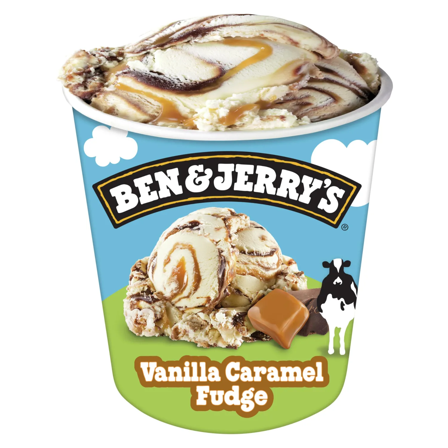 Ben & Jerry's Vanilla Caramel Fudge Ice Cream Pint Non-GMO 16 oz