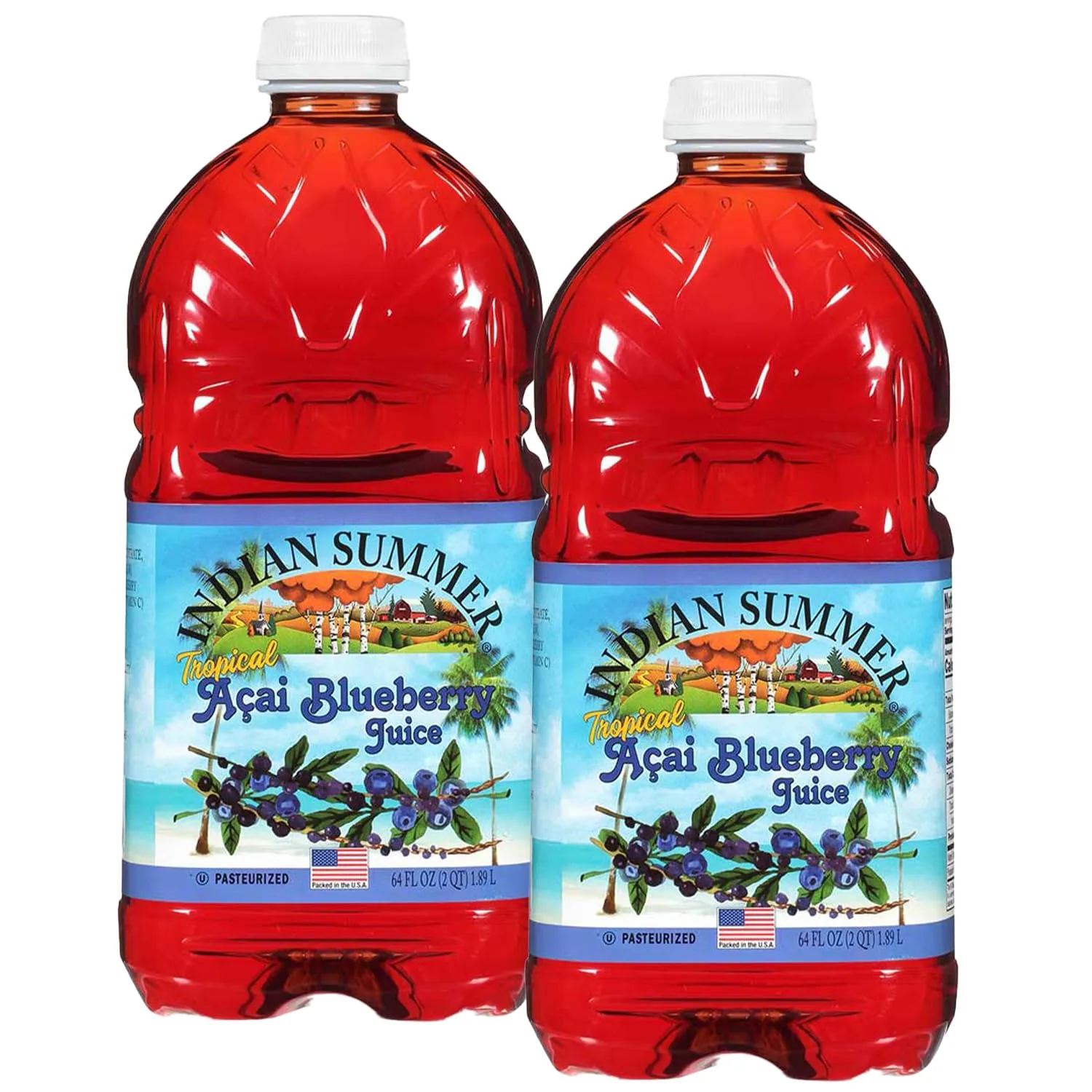 Indian Summer Tropical Flavored Apple Juice, All Natural Fruit Juice, Made with US Grown Apples (Acai Blueberry, 2 Pack)