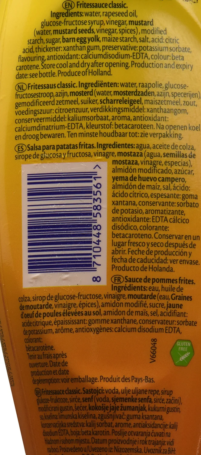 Frite Sauce Classic, Fritessaus (Remia) 16.9 oz (500ml)
