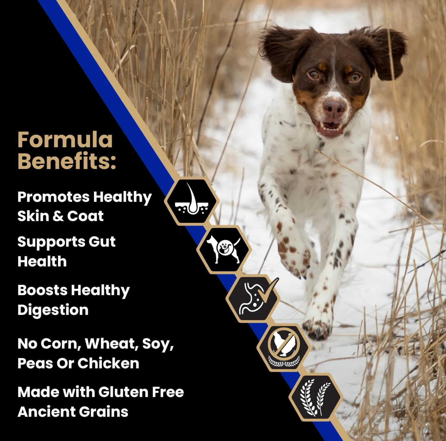 VICTOR- Sensitive Skin and Stomach, Beef Meal and Brown Rice Recipe, Dry Dog Food, 5-lb