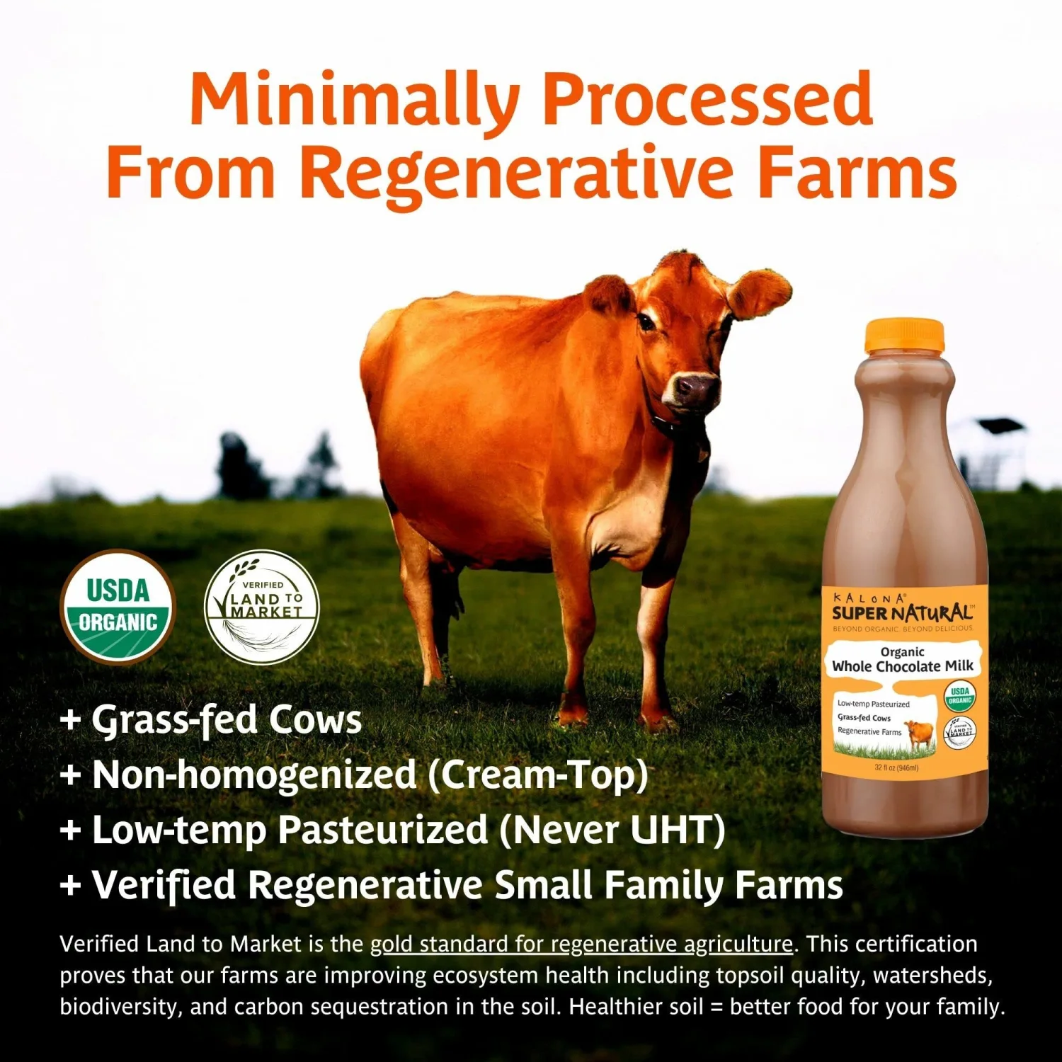 Kalona SuperNatural Organic Whole Chocolate Milk, 32 Fl oz