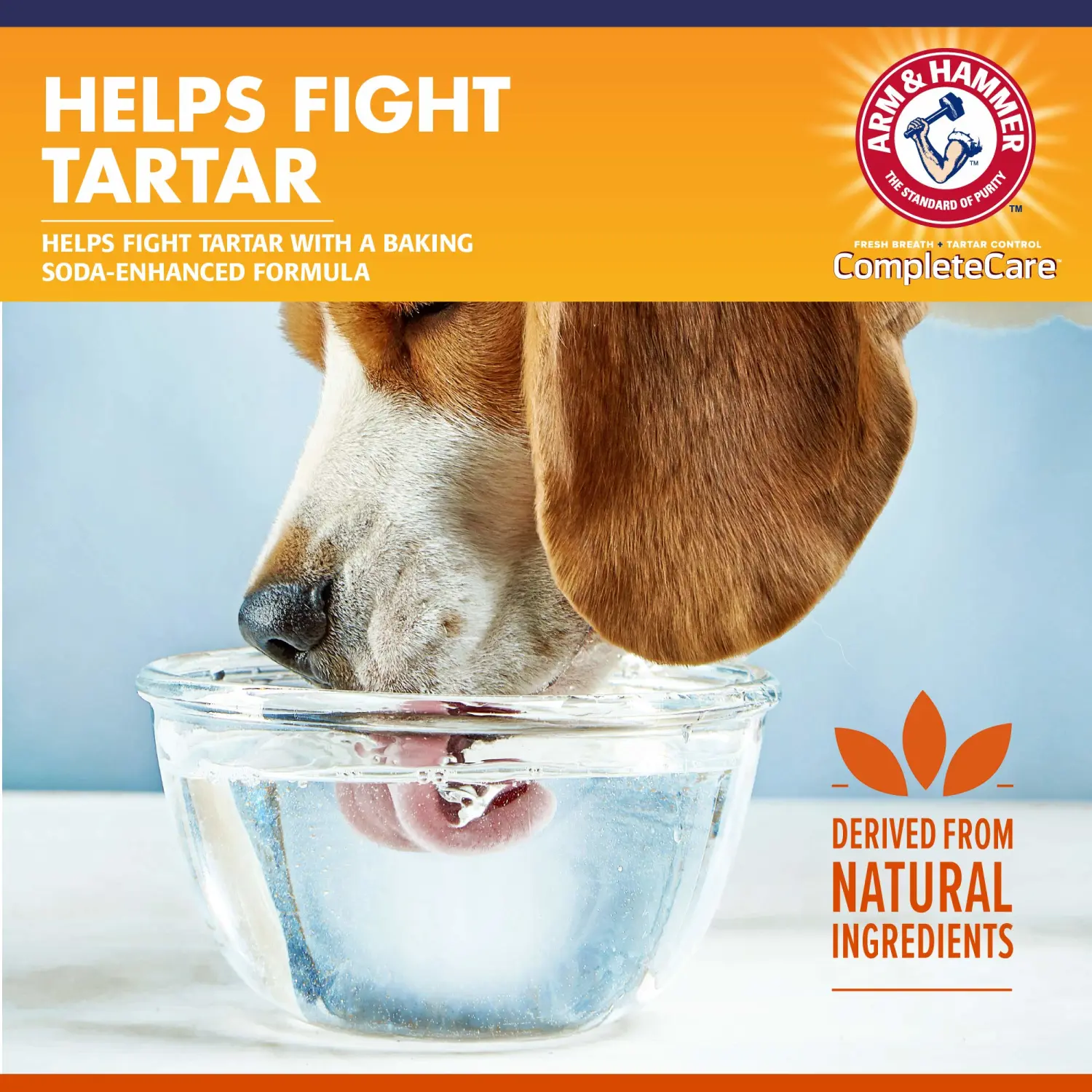 Arm & Hammer Complete Care Fresh Dental Water Additive for Dogs, 16 Fl Oz - Flavorless Dog Water Additive, Dog Mouth Wash, Dog Dental Rinse, PetWater Additive, Pets Dental Care for Bad Breath