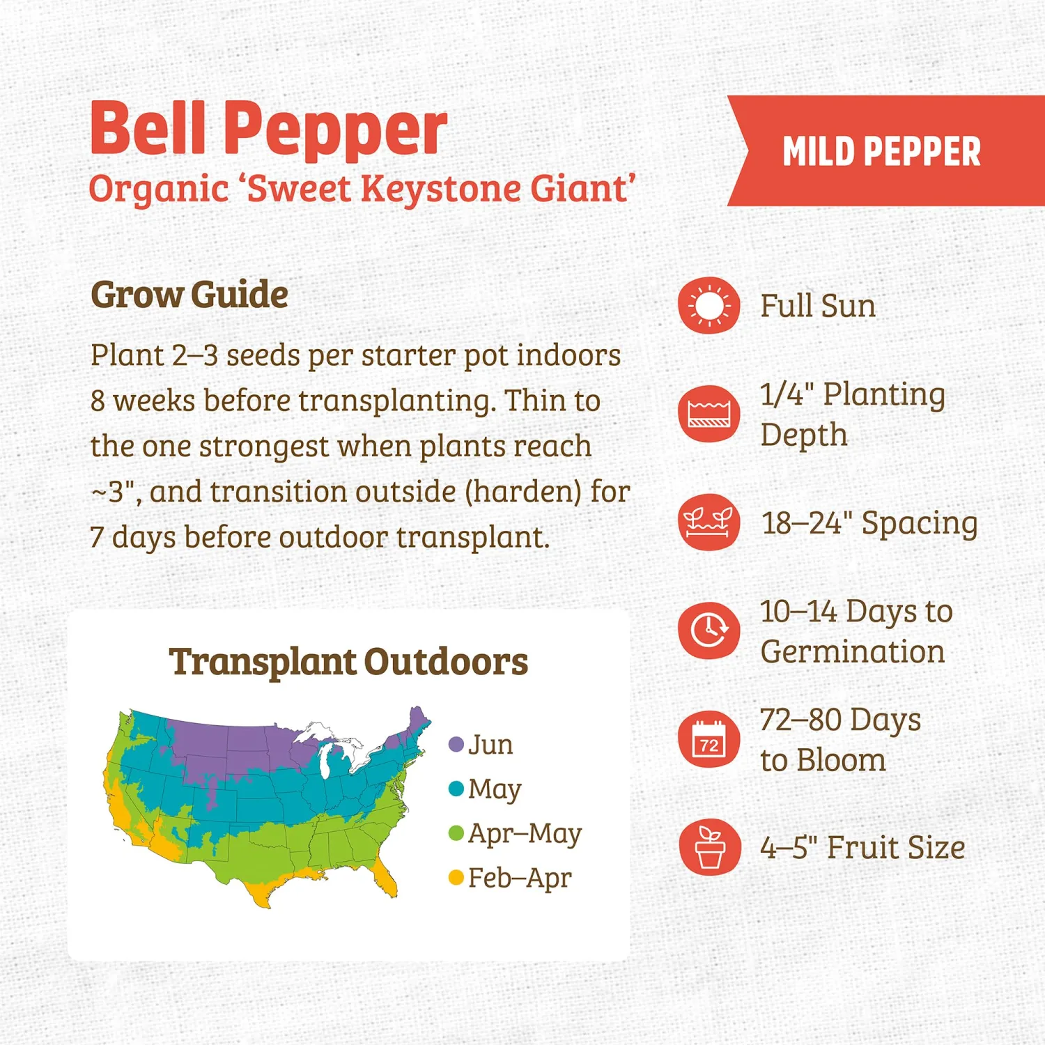 Back to the Roots - 100% Organic Seed Packet - Bell Pepper 'Sweet Keystone Giant' 140mg