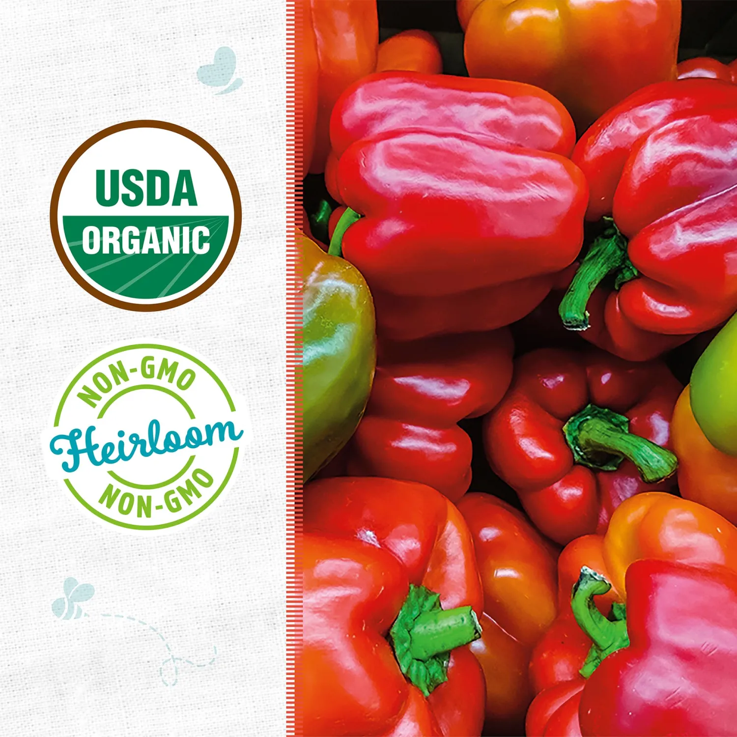 Back to the Roots - 100% Organic Seed Packet - Bell Pepper 'Sweet Keystone Giant' 140mg