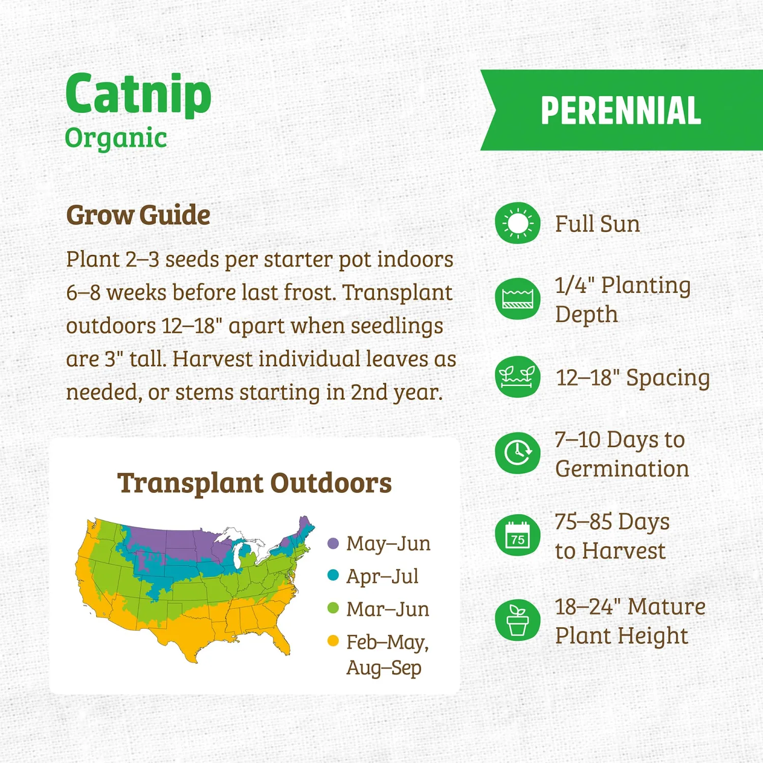 Seed Packet - Catnip 140mg