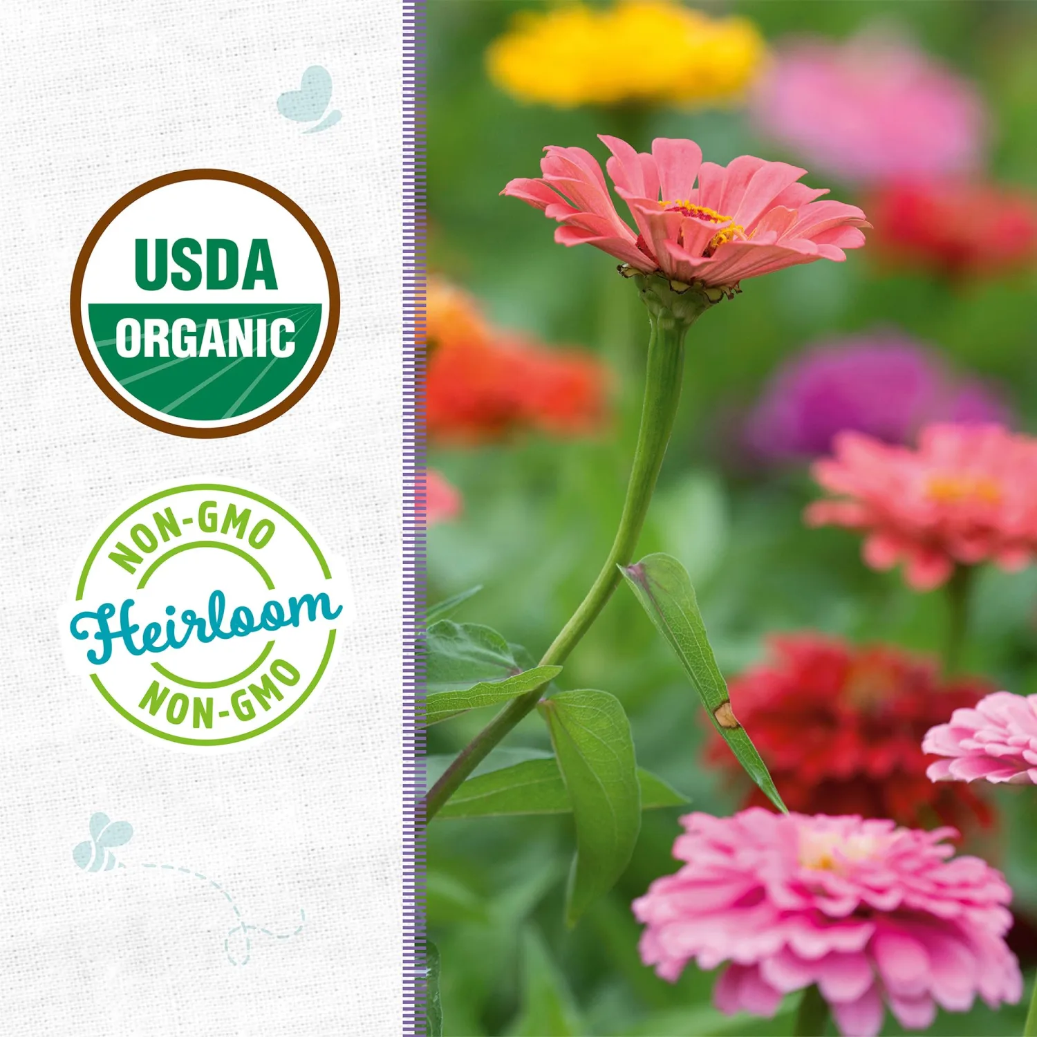 Seed Packet - Zinnia 'Cut and Come Again' 210mg