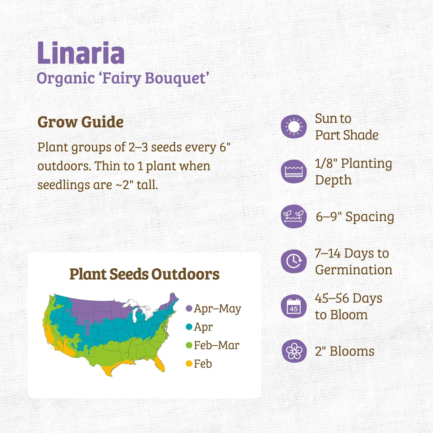 Back to the Roots - 100% Organic Seed Packet - Linaria 'Fairy Bouquet' 50mg