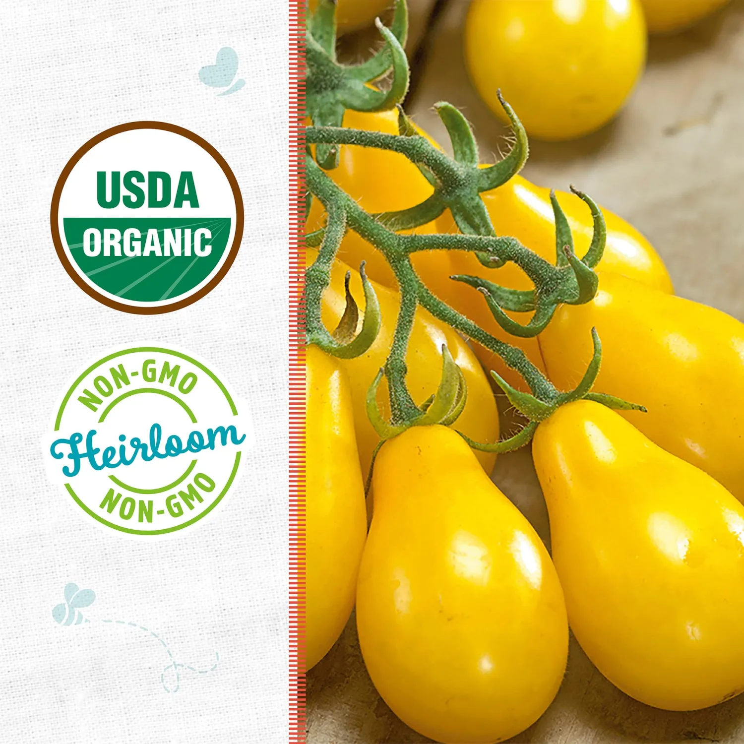 Back to the Roots - 100% Organic Seed Packet - Tomato 'Yellow Pear' 140mg