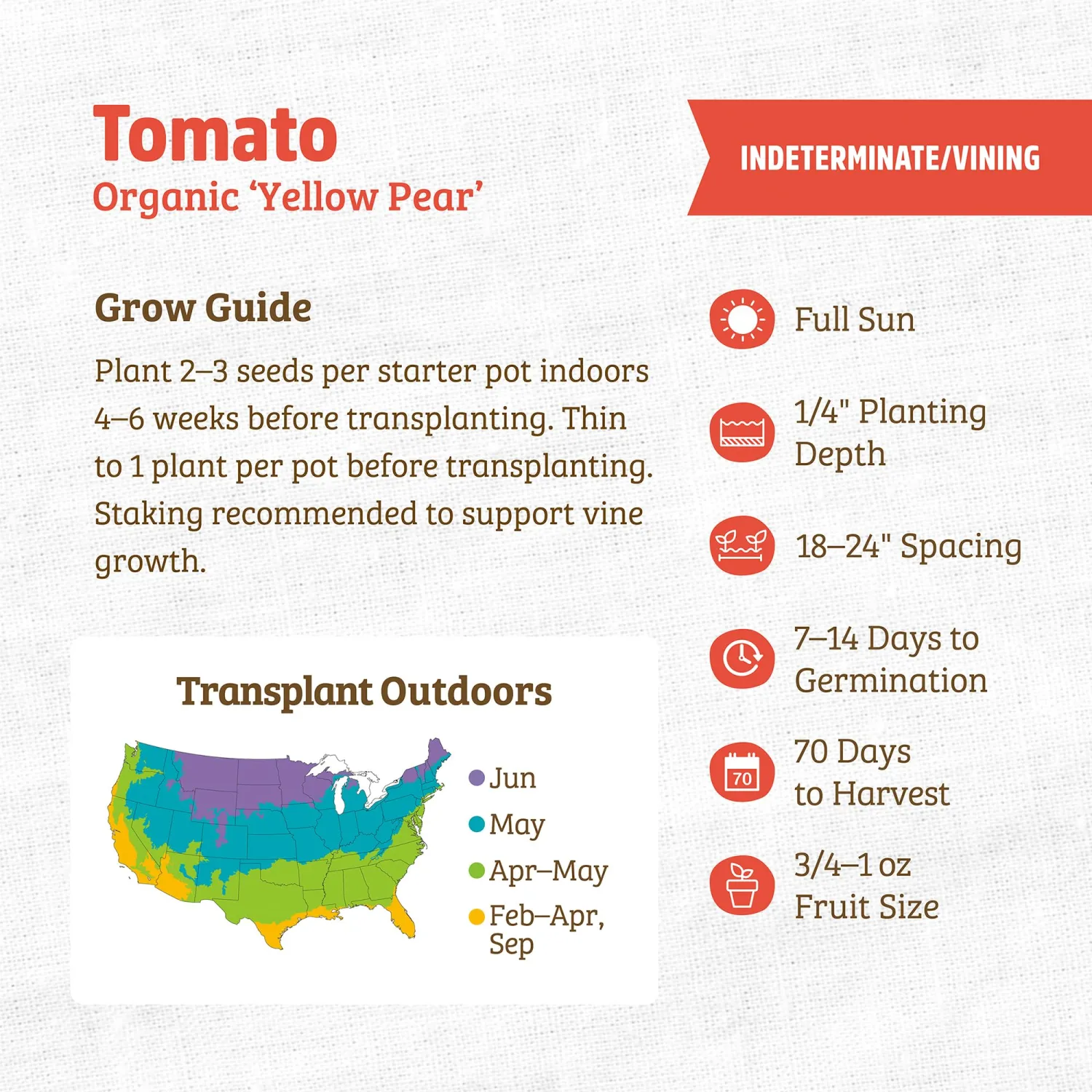 Back to the Roots - 100% Organic Seed Packet - Tomato 'Yellow Pear' 140mg