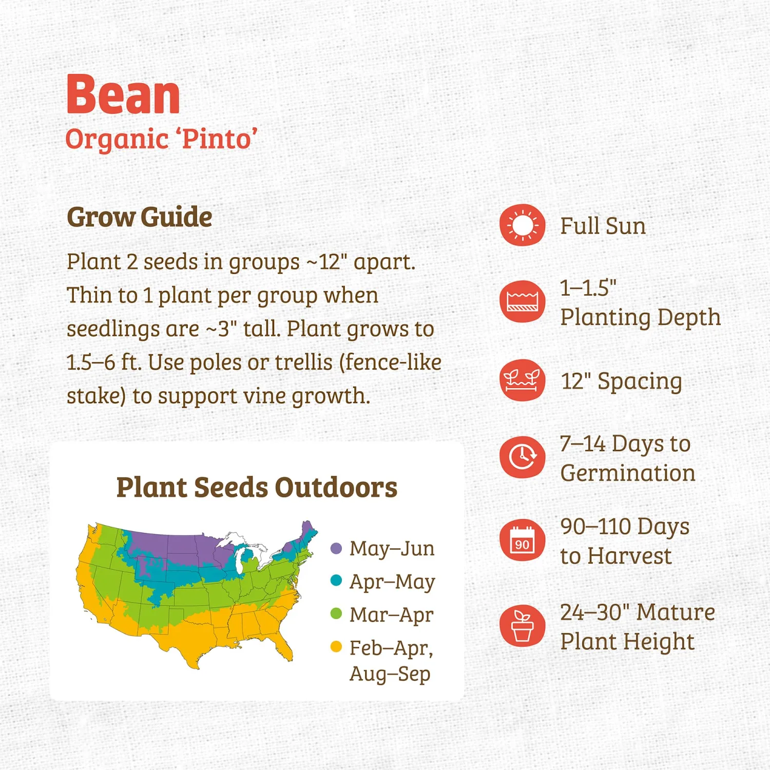 Seed Packet - Bean 'Pinto' 8.4g