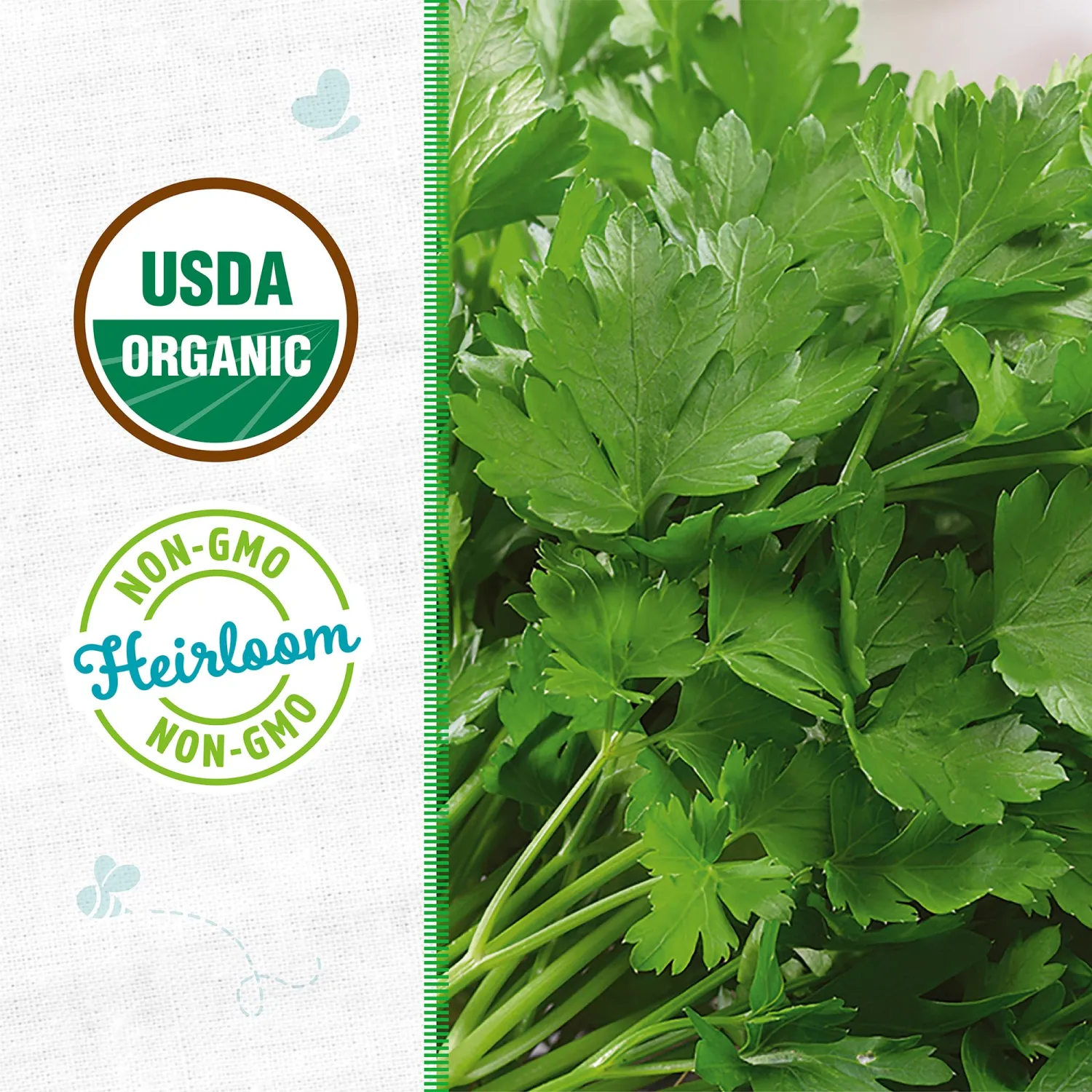 Seed Packet - Parsley 'Italian Large Leaf' 420mg