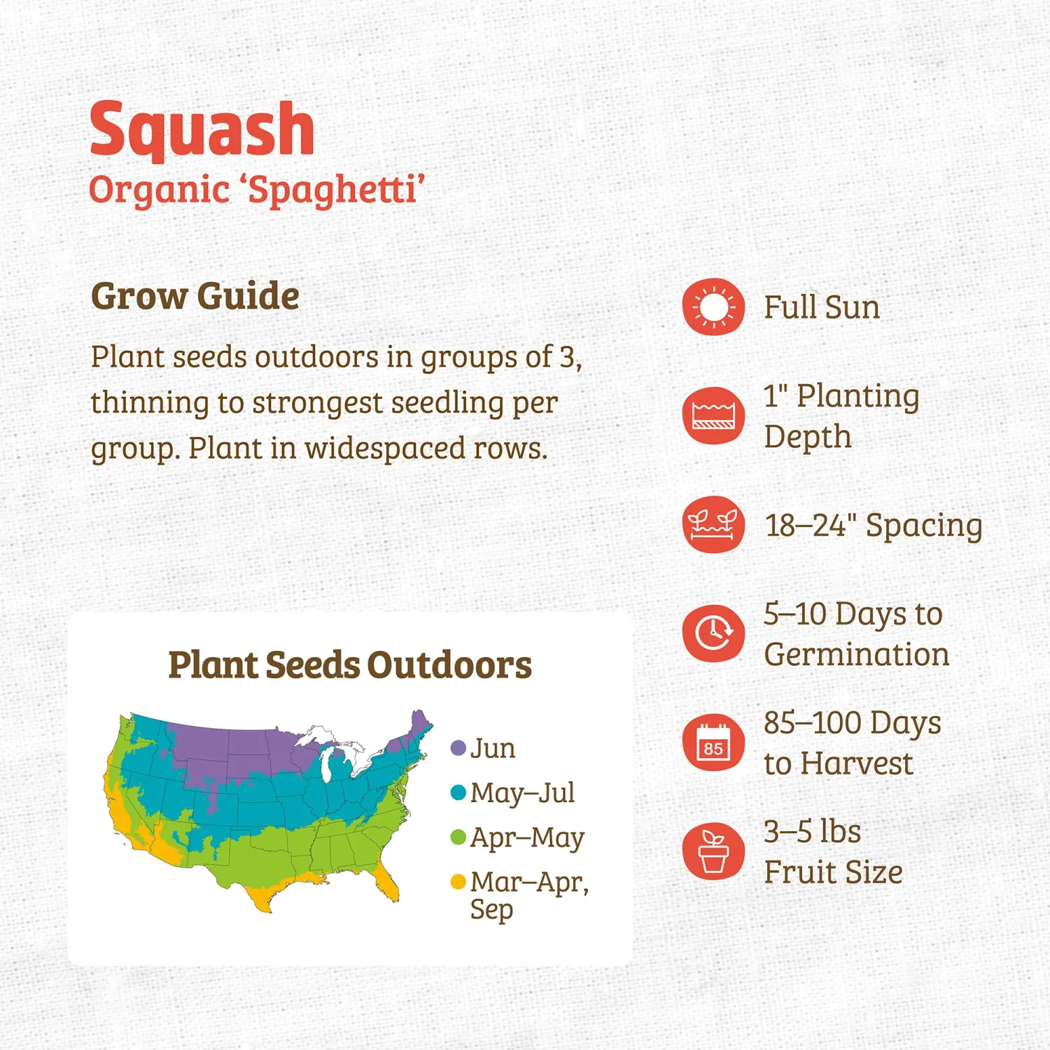 Back to the Roots - 100% Organic Seed Packet - Squash 'Winter Vegetable Spaghetti' 2.8g
