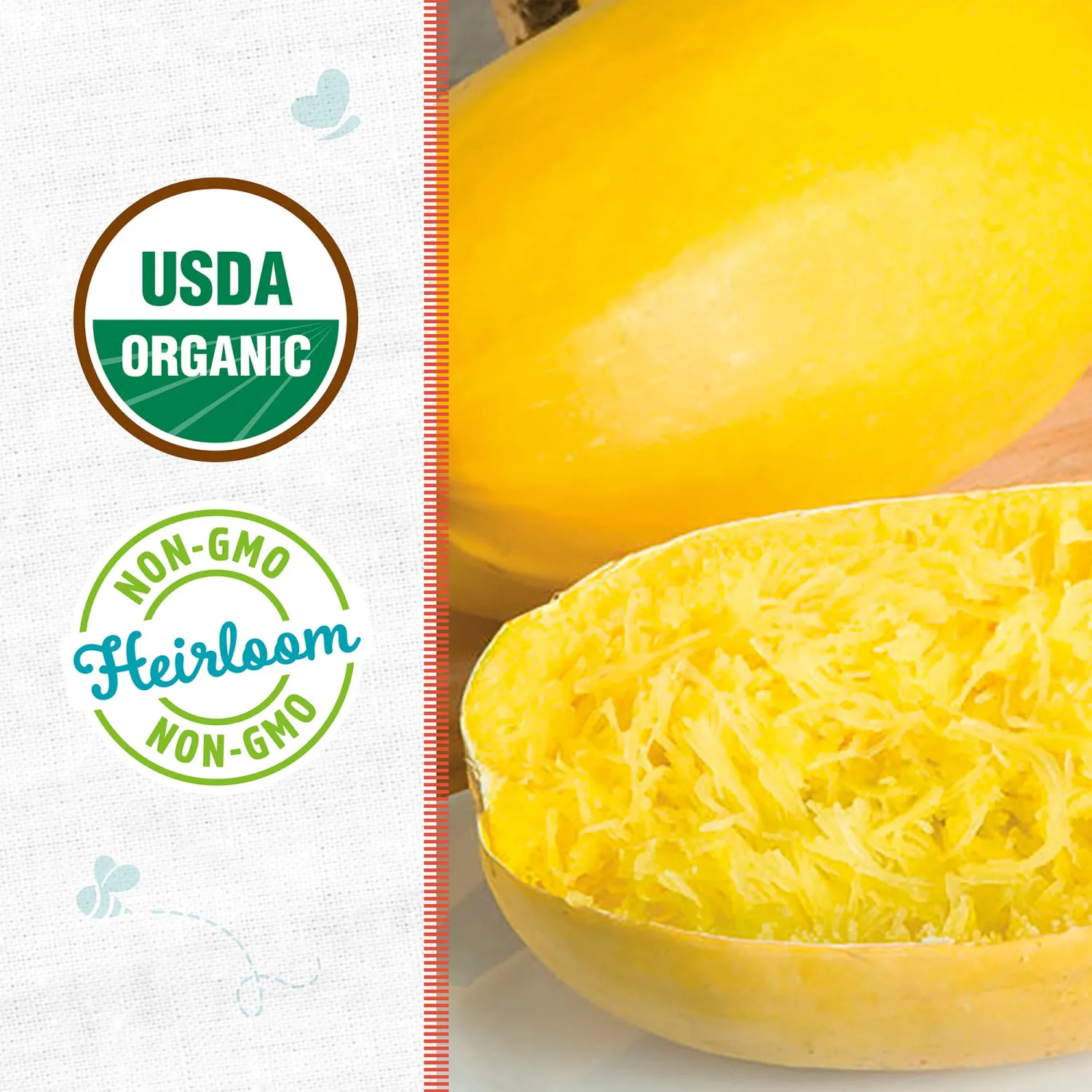 Back to the Roots - 100% Organic Seed Packet - Squash 'Winter Vegetable Spaghetti' 2.8g