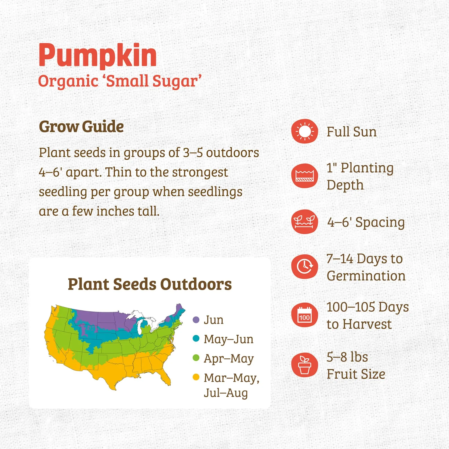 Seed Packet - Pumpkin 'Small Sugar' 2.5g