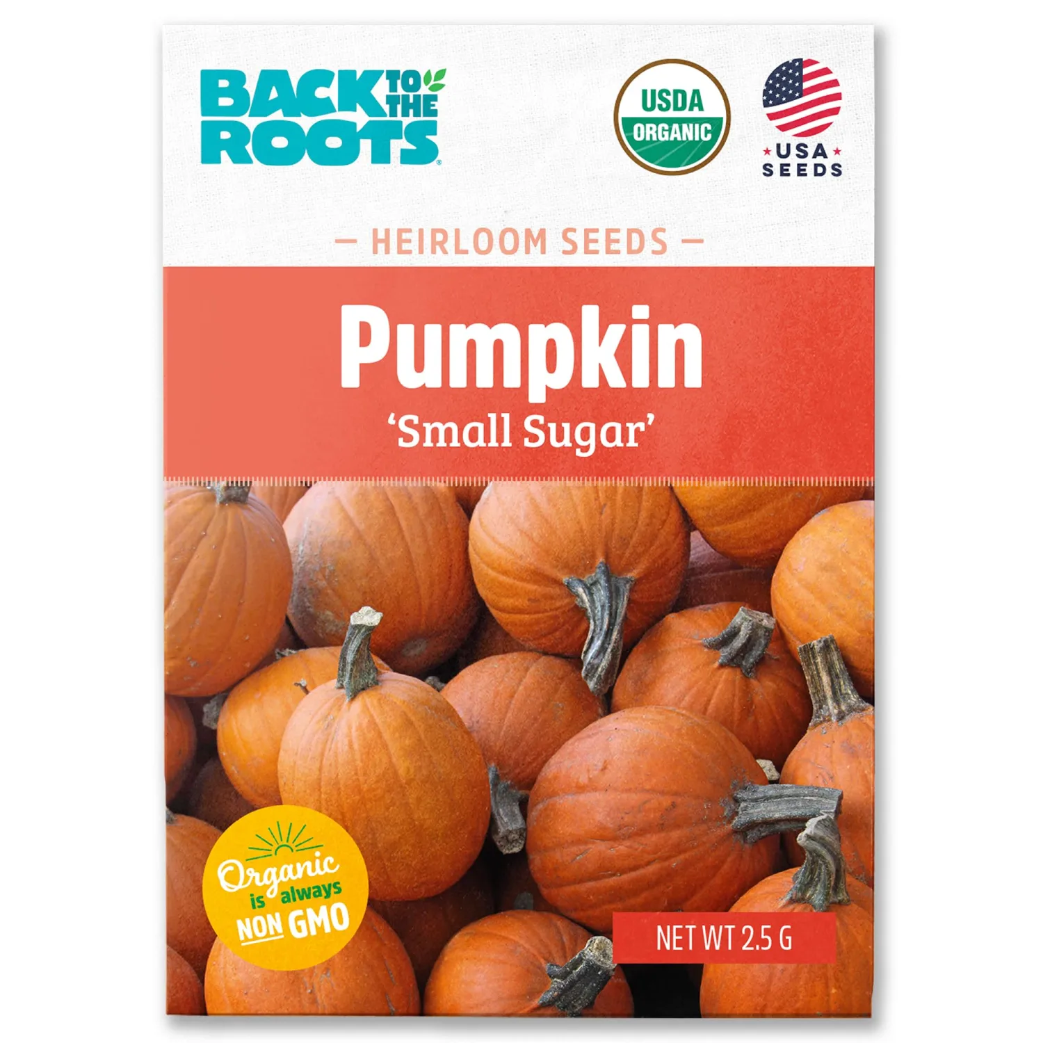 Seed Packet - Pumpkin 'Small Sugar' 2.5g