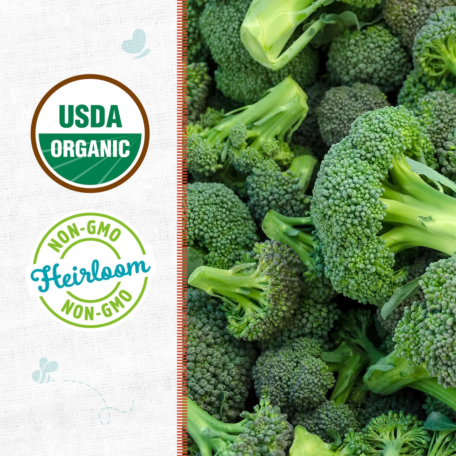 Seed Packet - Broccoli 'Calabrese'