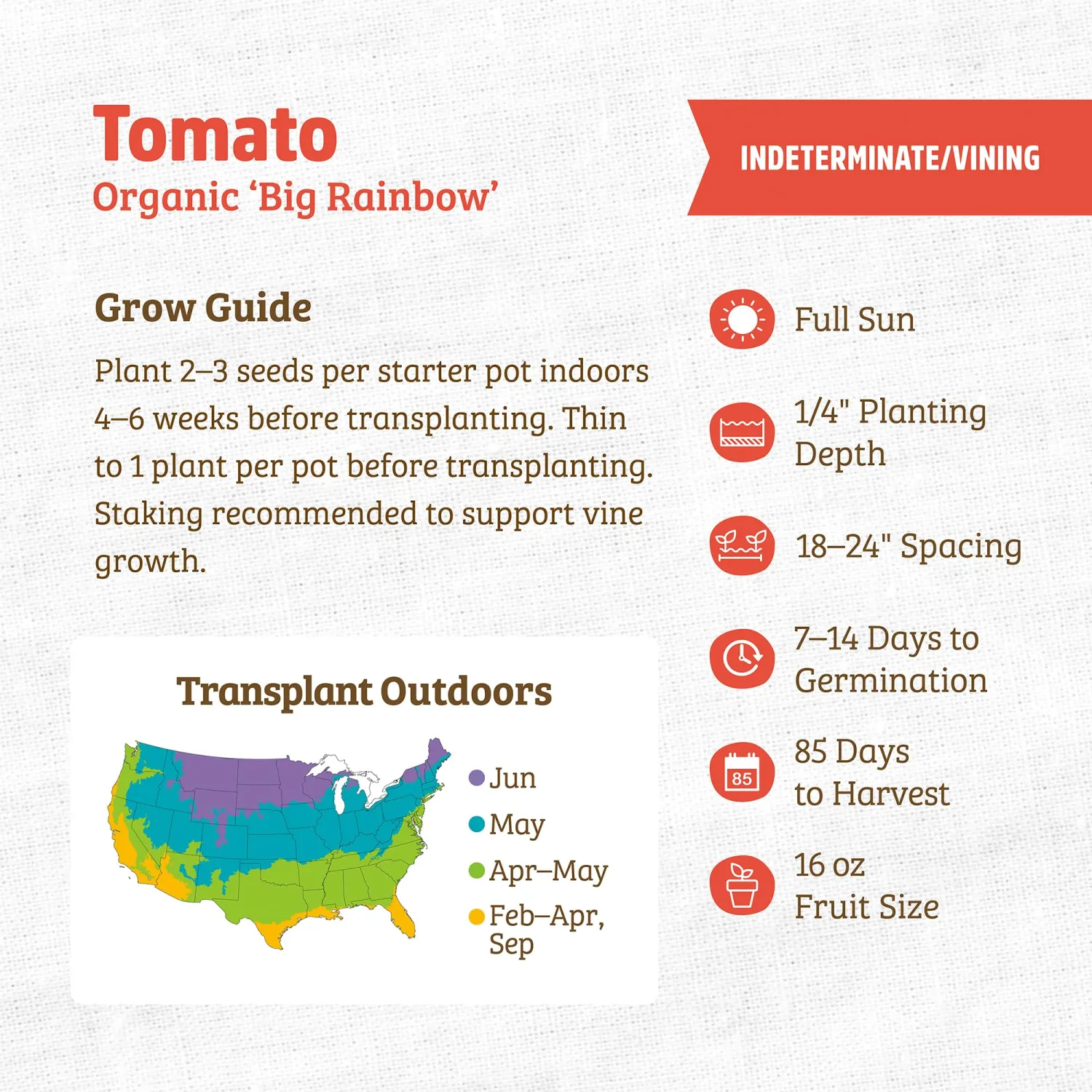 Back to the Roots - 100% Organic Seed Packet - Tomato 'Big Rainbow' 140mg