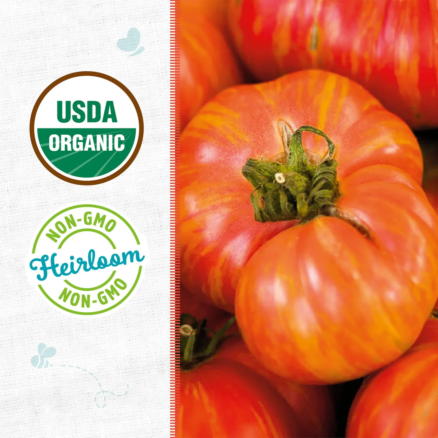 Back to the Roots - 100% Organic Seed Packet - Tomato 'Big Rainbow' 140mg