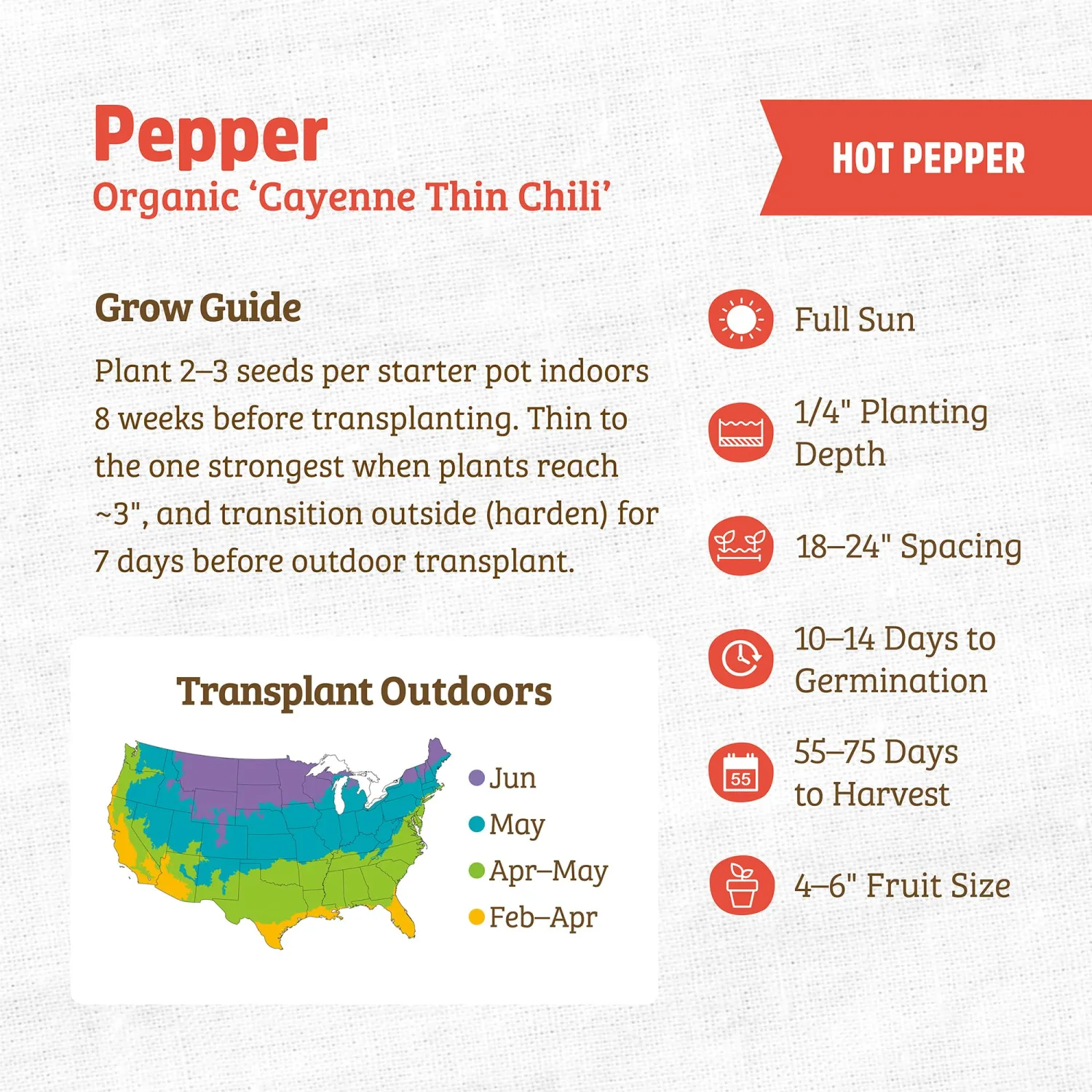 Back to the Roots - 100% Organic Seed Packet - Chili Pepper 'Cayenne Thin' 220mg