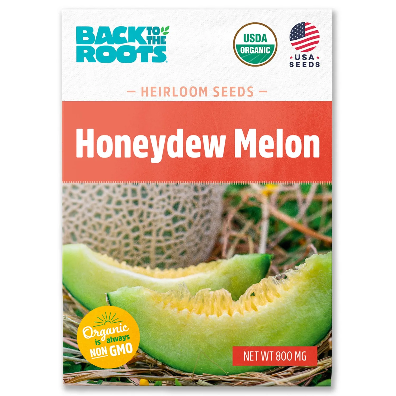 Seed Packet - Honeydew Melon 'Green Flesh' 800mg