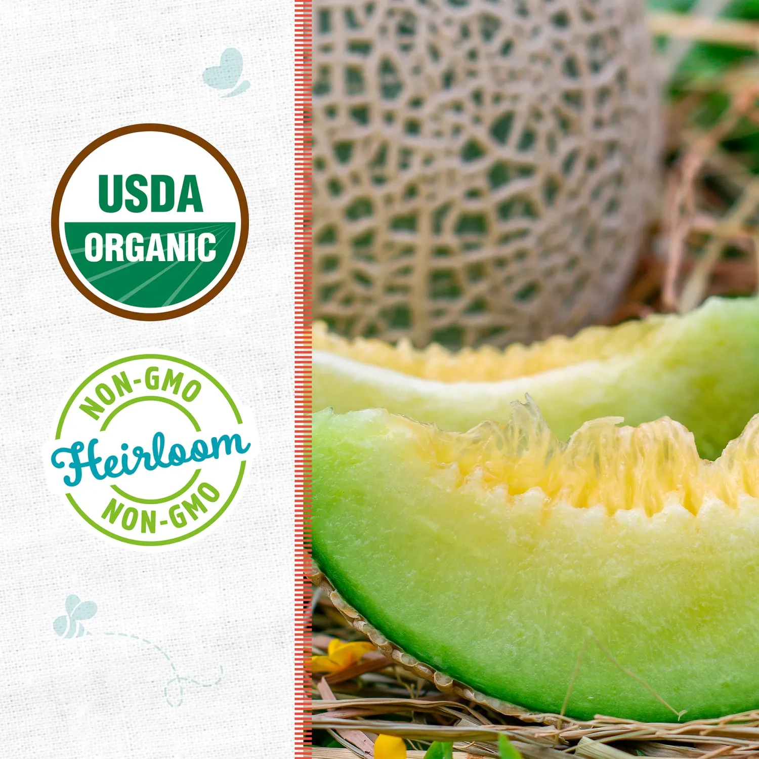 Seed Packet - Honeydew Melon 'Green Flesh' 800mg