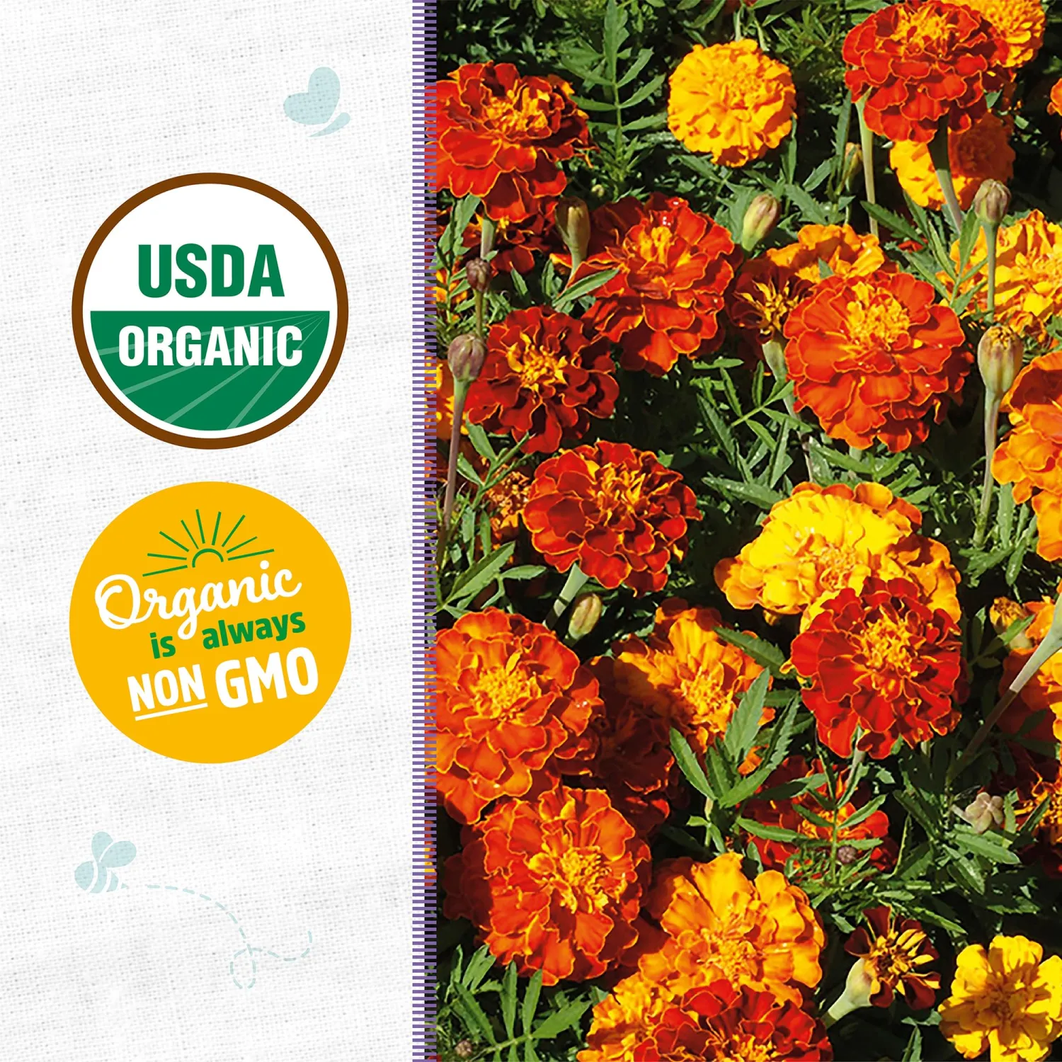 Seed Packet - Marigold 'Sparky' 420mg