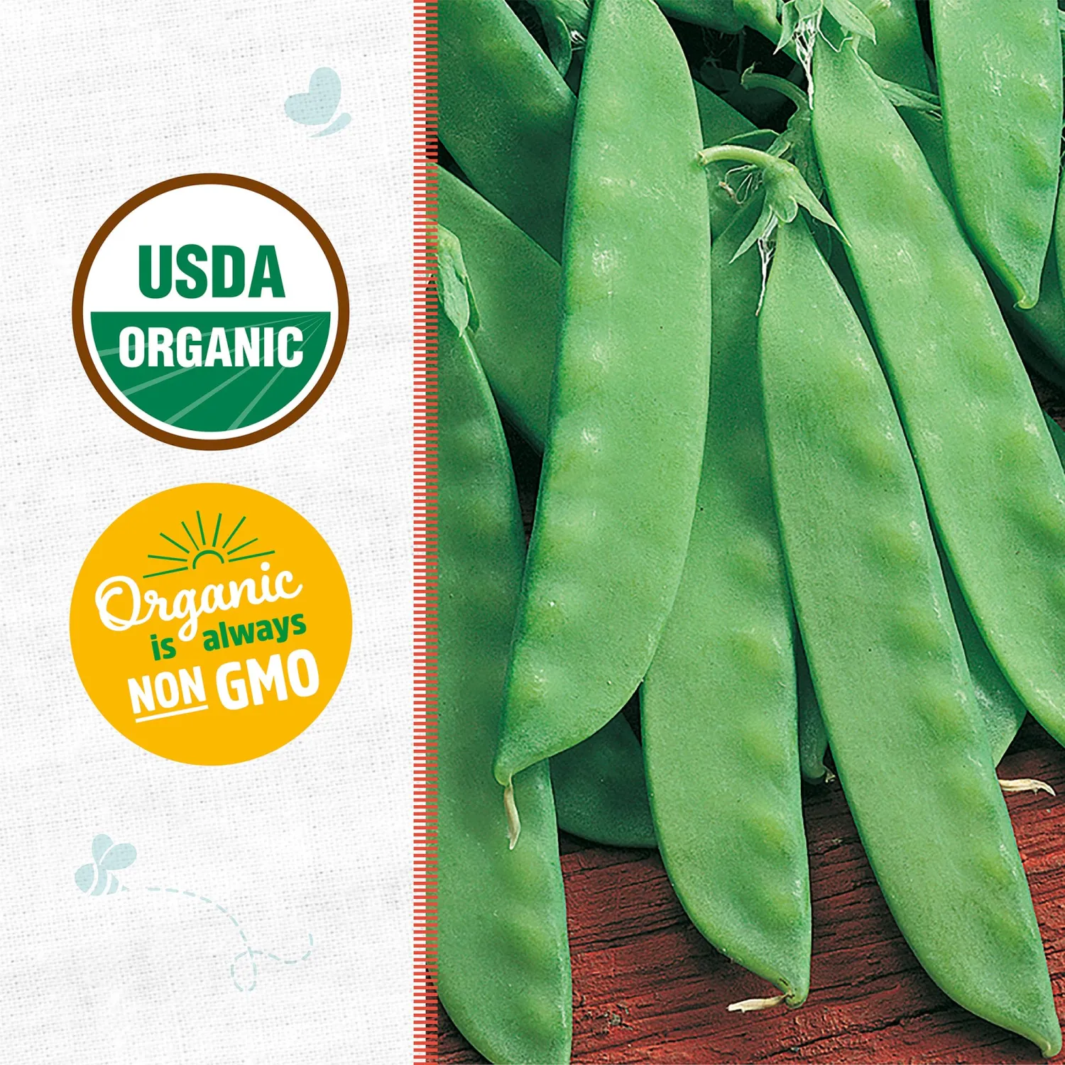 Back to the Roots - 100% Organic Seed Packet - Pea 'Oregon Snow Sugar Pod II' 8.4g