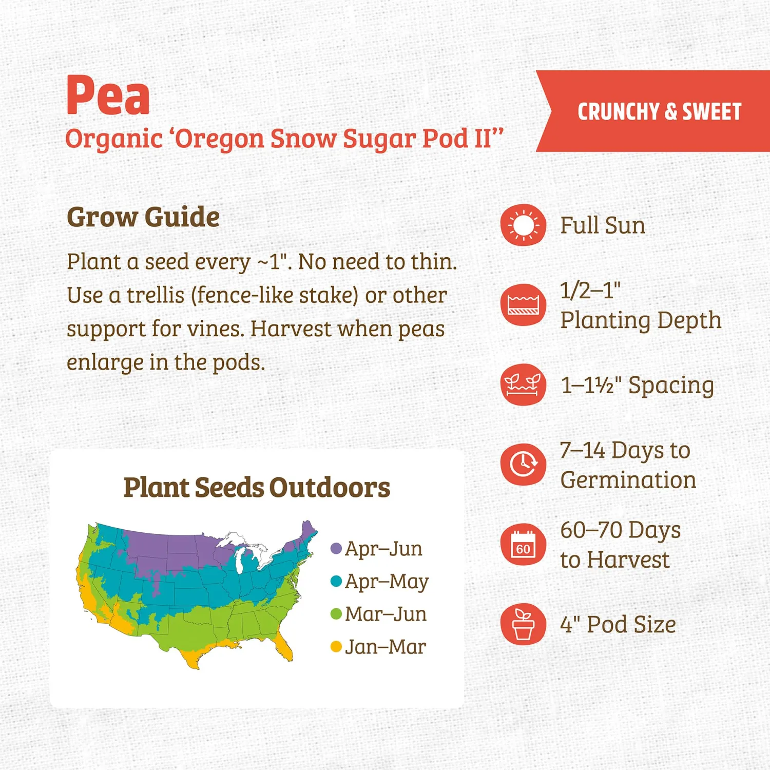 Back to the Roots - 100% Organic Seed Packet - Pea 'Oregon Snow Sugar Pod II' 8.4g