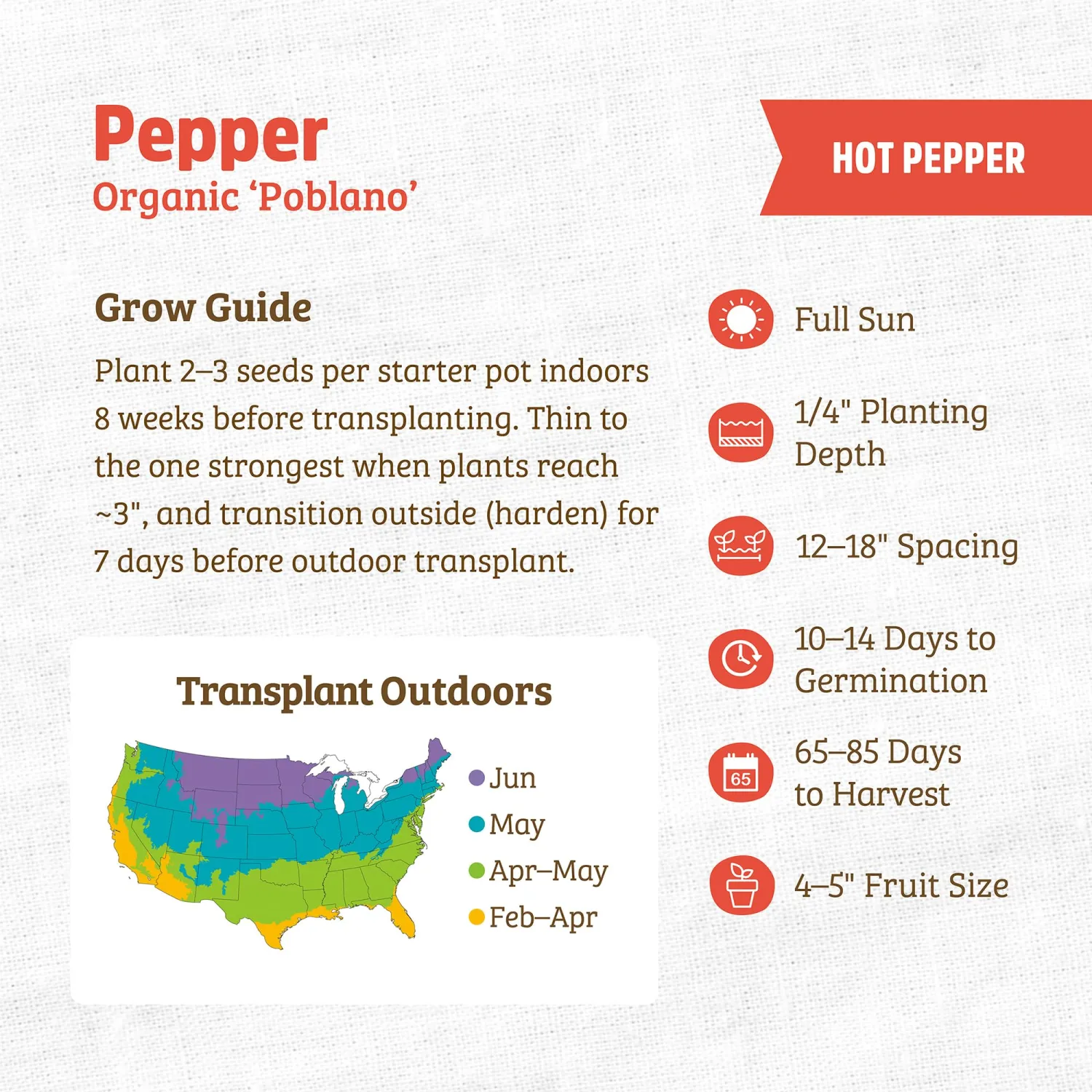 Back to the Roots - 100% Organic Seed Packet - Chili Pepper 'Poblano' 140mg