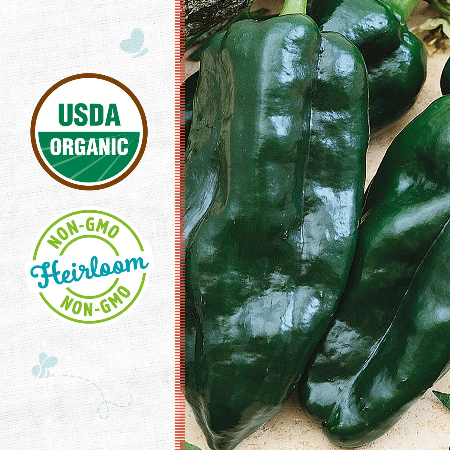 Back to the Roots - 100% Organic Seed Packet - Chili Pepper 'Poblano' 140mg